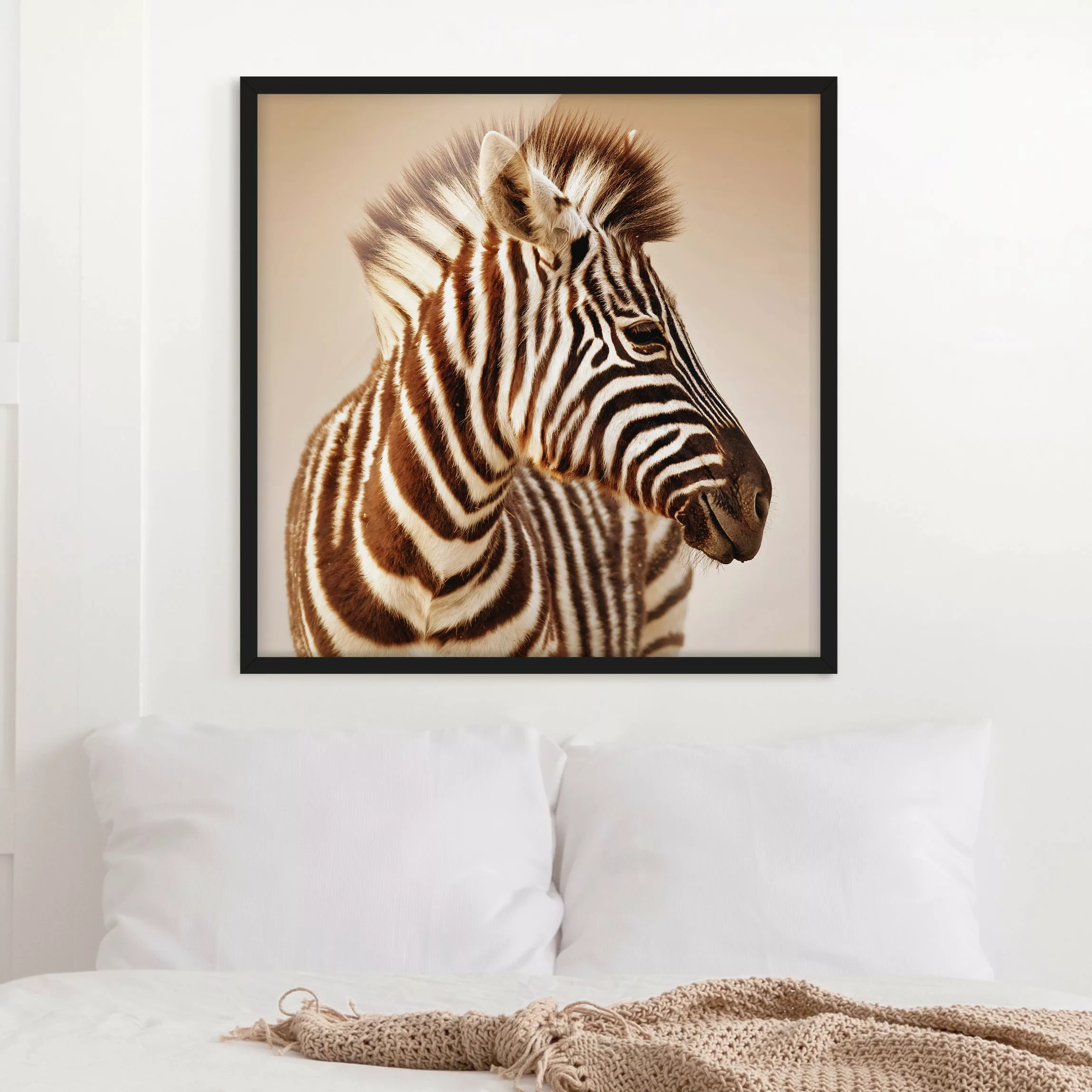 Bild mit Rahmen Tiere - Quadrat Zebra Baby Portrait günstig online kaufen