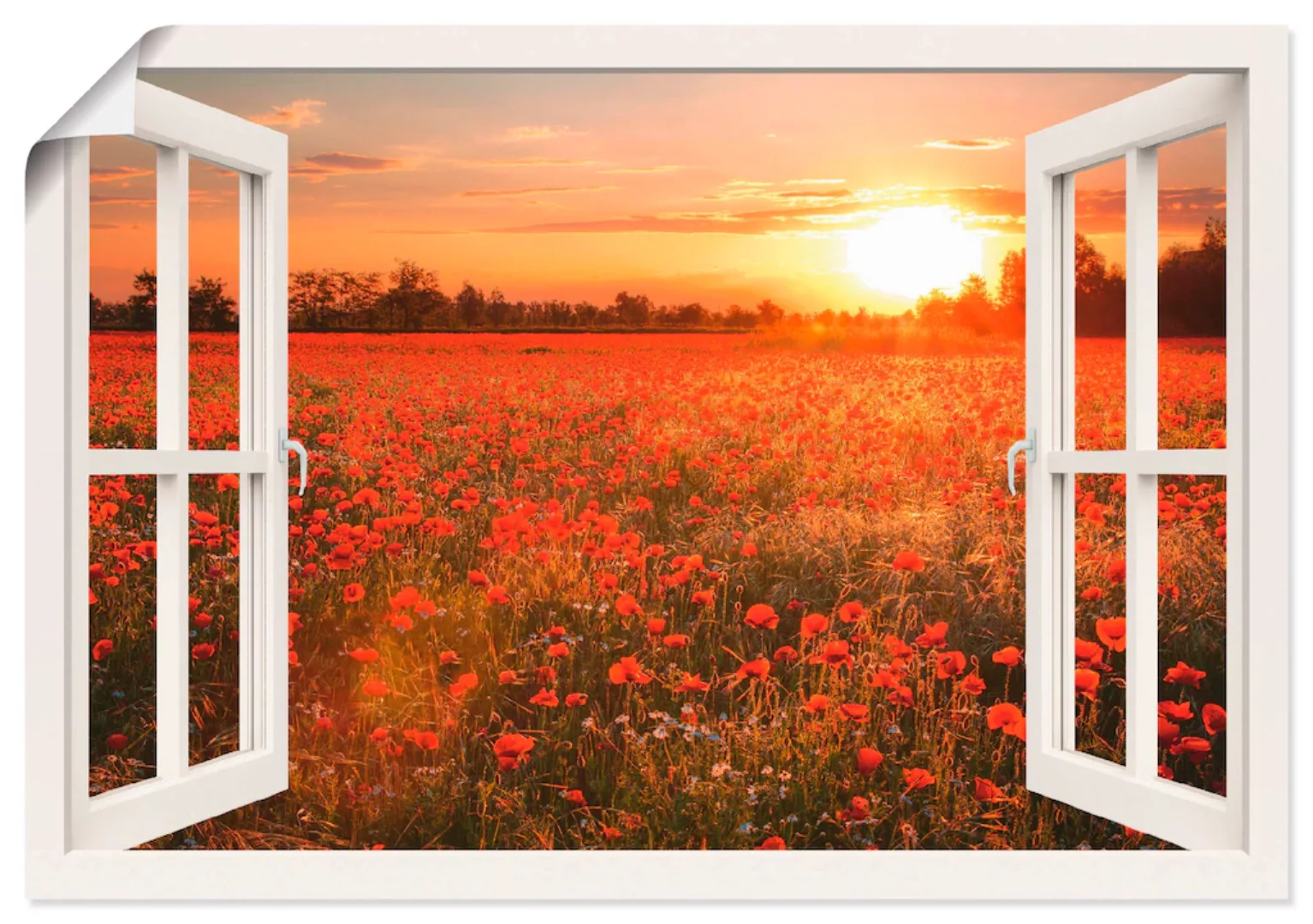 Artland Wandbild "Fensterblick Mohnblumenfeld", Blumen, (1 St.), als Leinwa günstig online kaufen