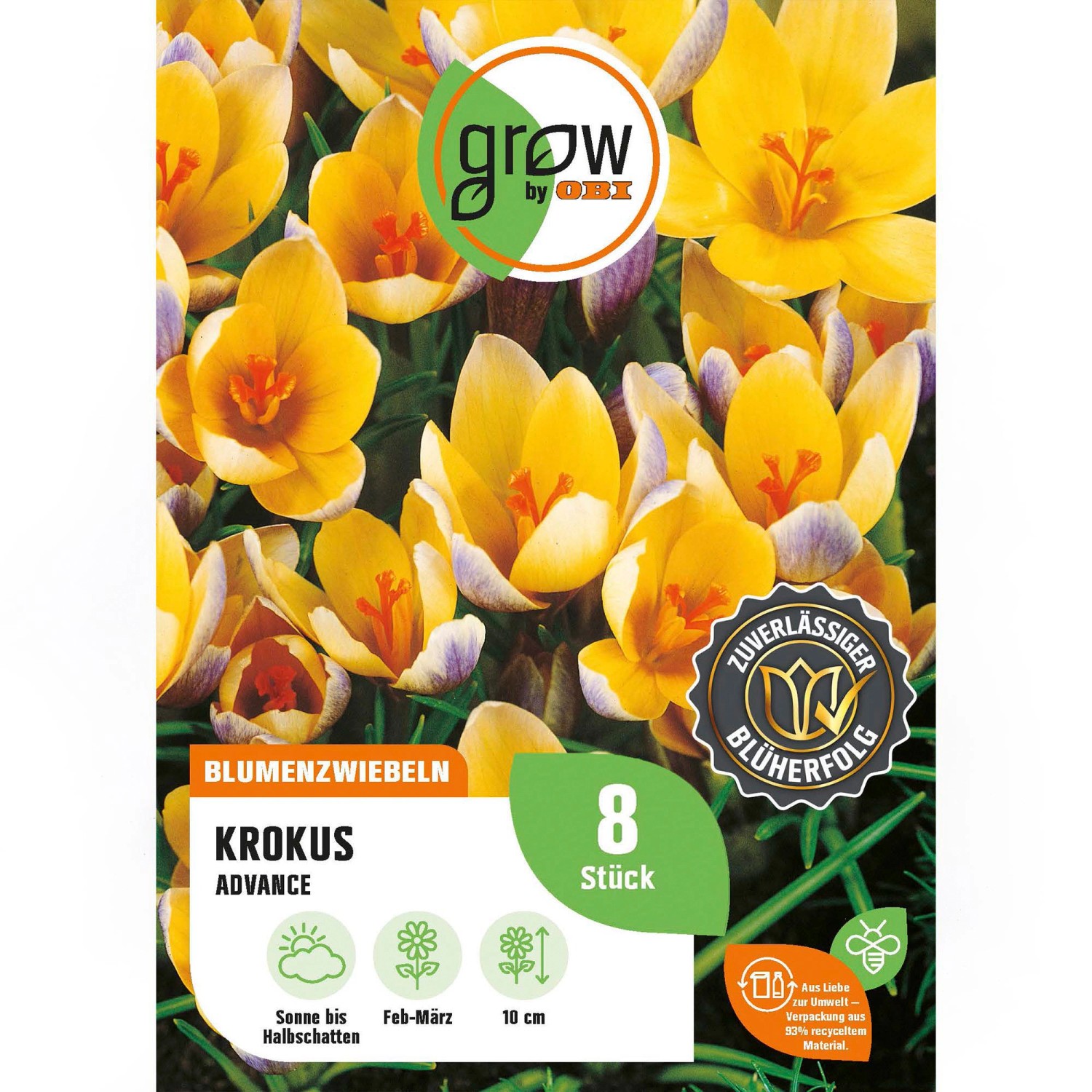GROW by OBI Krokus Advance Purple 8 Stück Crocus chrysanthus Advance günstig online kaufen