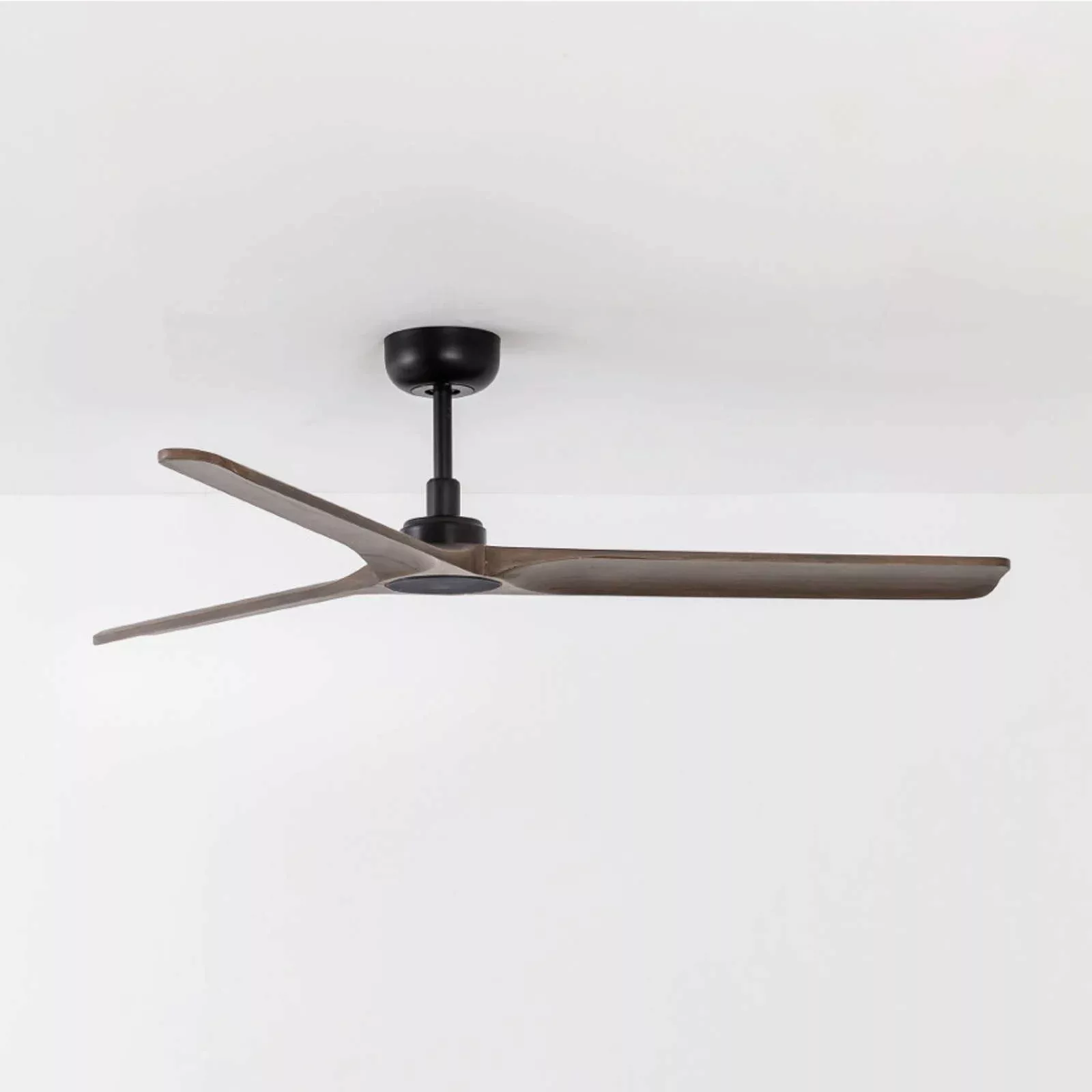 Deckenventilator Heywood M DC, schwarz/Holz dunkel günstig online kaufen