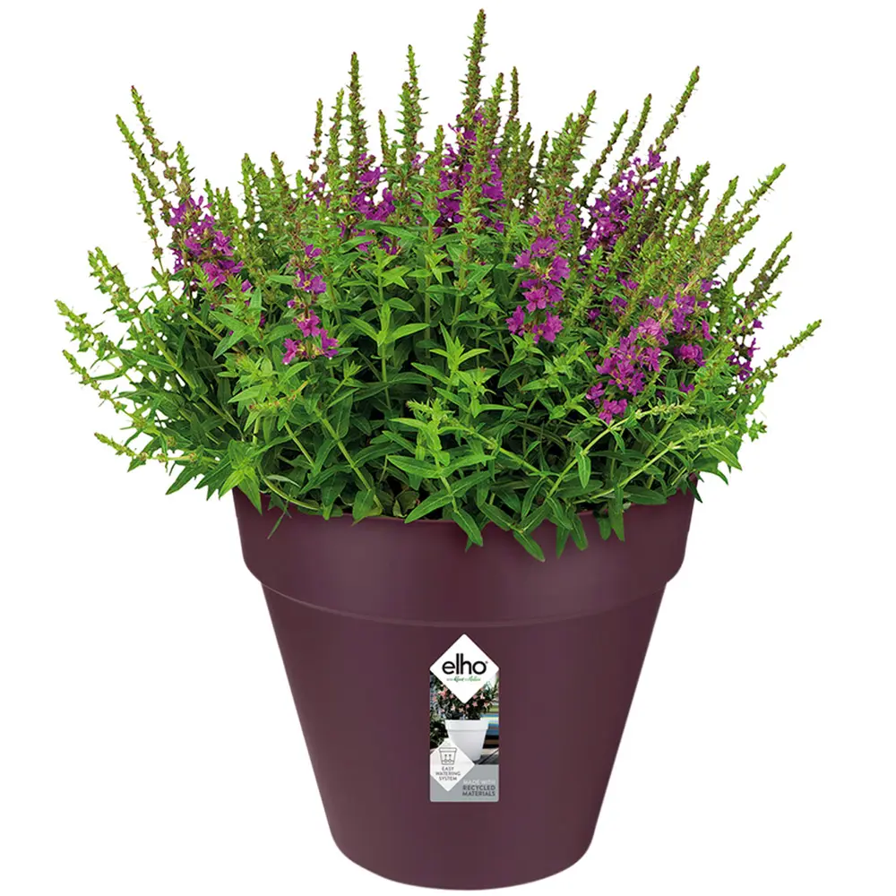 Blumentopf Maulbeere matt 19x18cm 3L günstig online kaufen