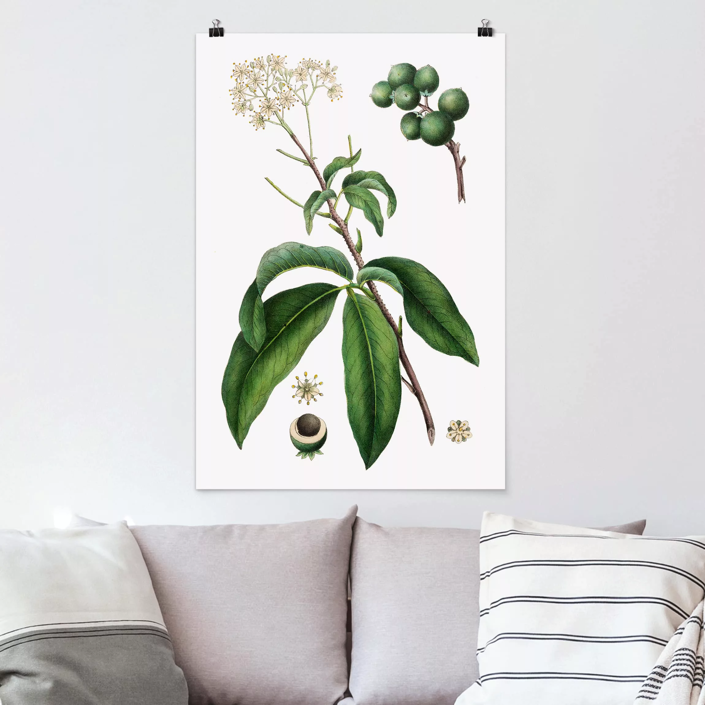 Poster Blumen - Hochformat Laubwerk mit Blüten II günstig online kaufen