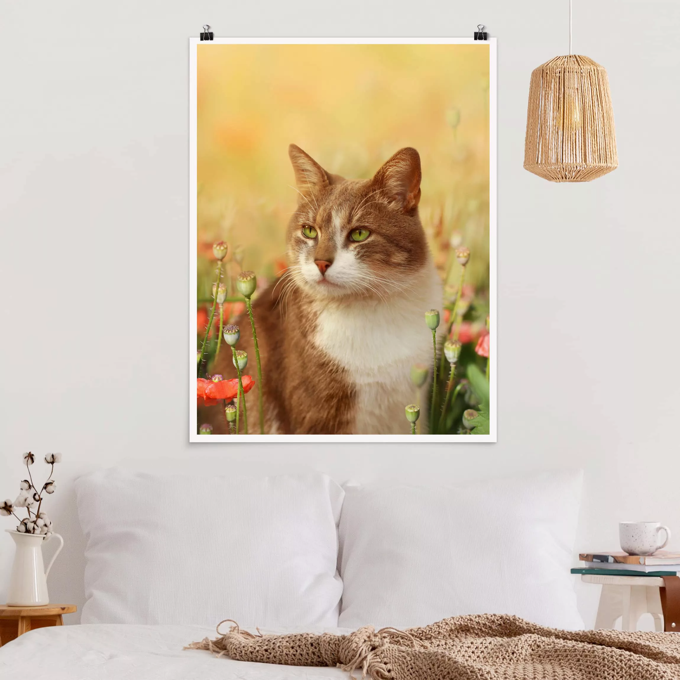 Poster Tiere - Hochformat Katze im Mohnfeld günstig online kaufen