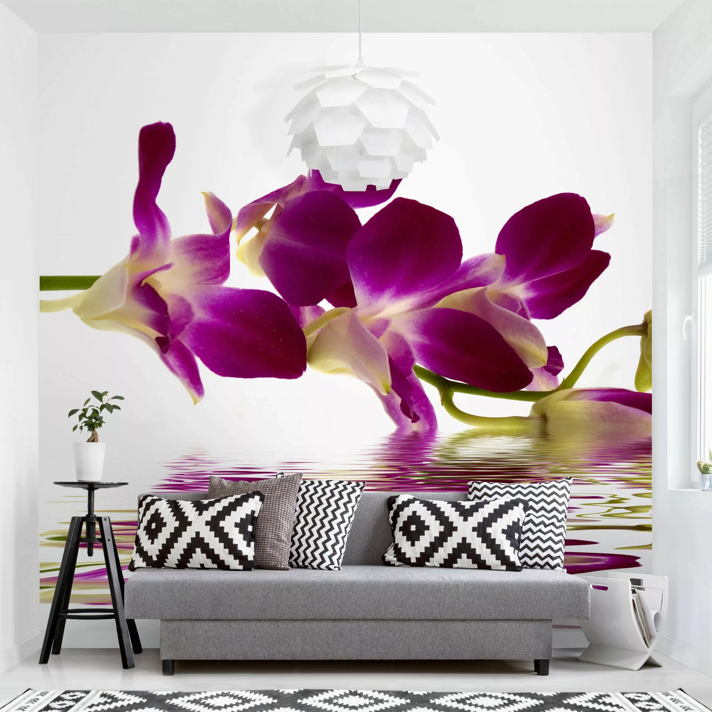 Fototapete Pink Orchid Waters günstig online kaufen