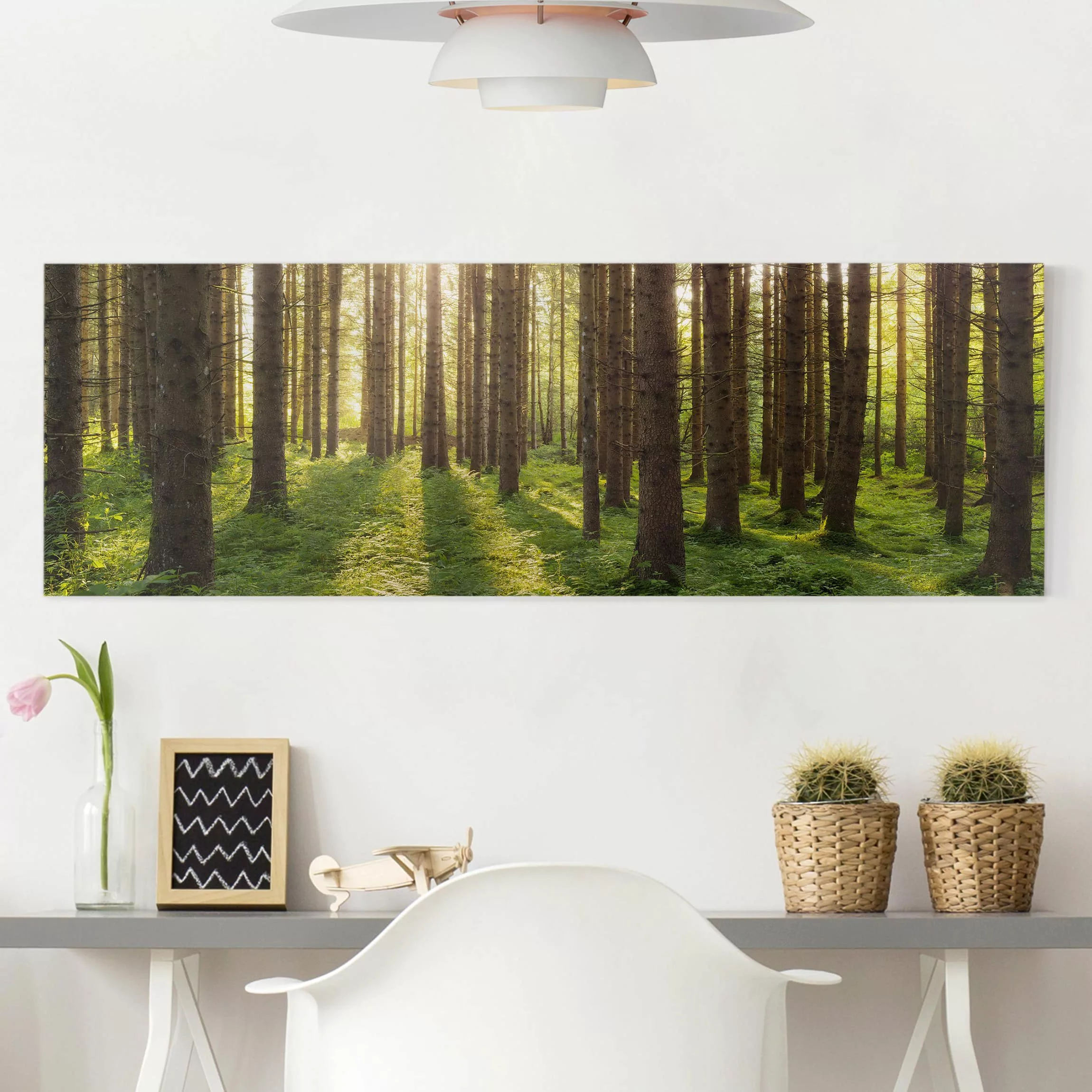 Leinwandbild Wald - Panorama Sonnenstrahlen in grünem Wald günstig online kaufen