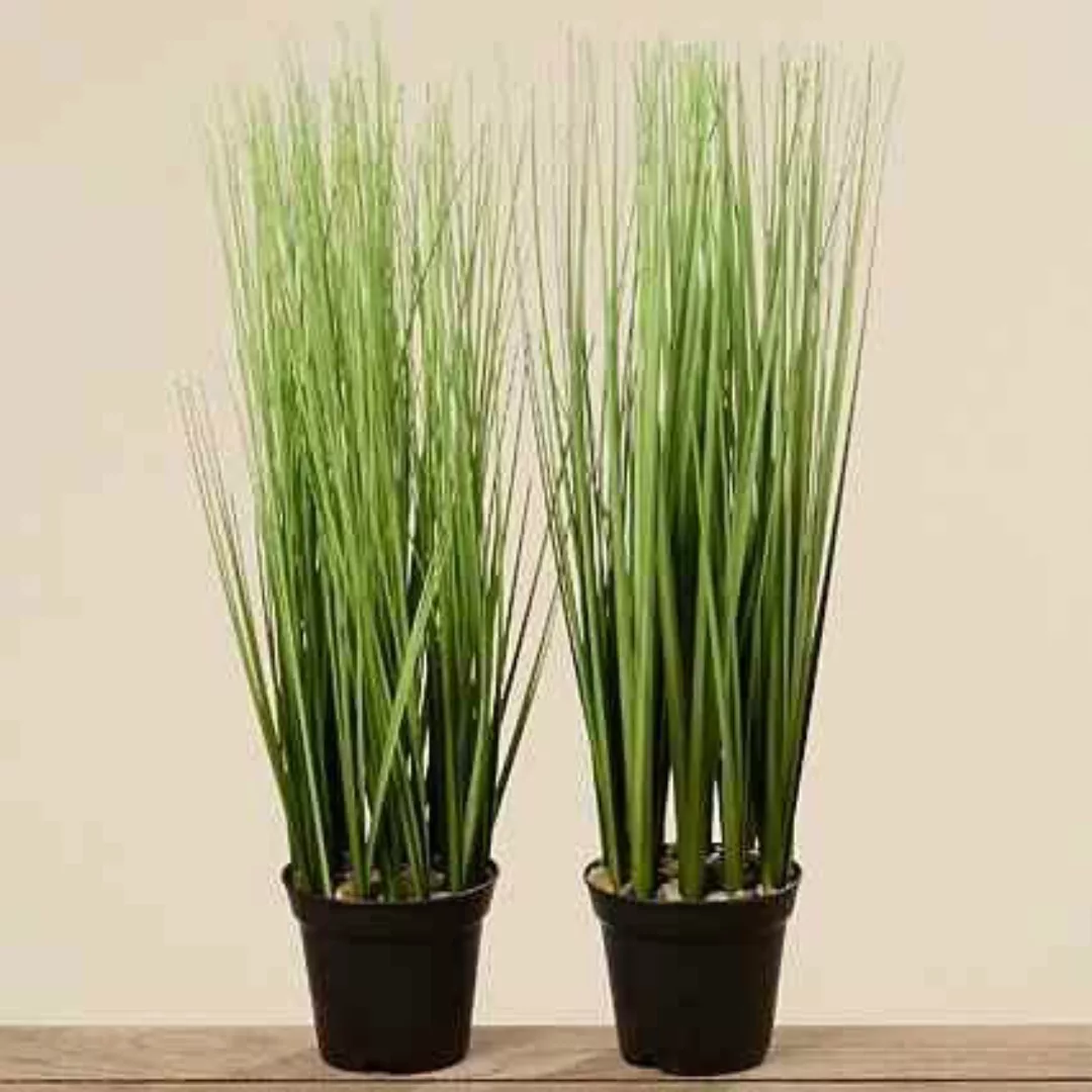 Kunstpflanze GRAS 1 Stück im Topf 54 cm hoch von Boltze Grün günstig online kaufen