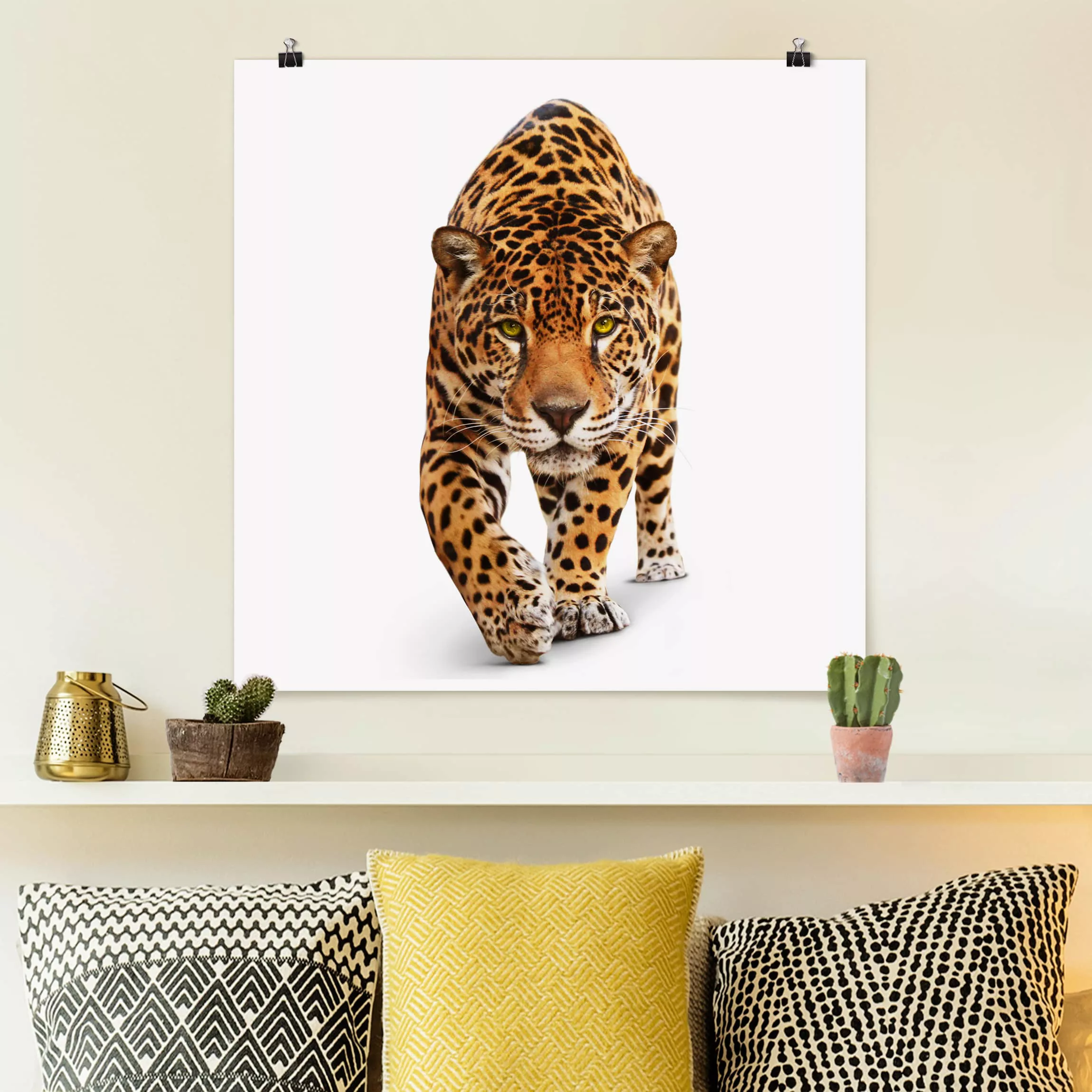 Poster Tiere - Quadrat Creeping Jaguar günstig online kaufen