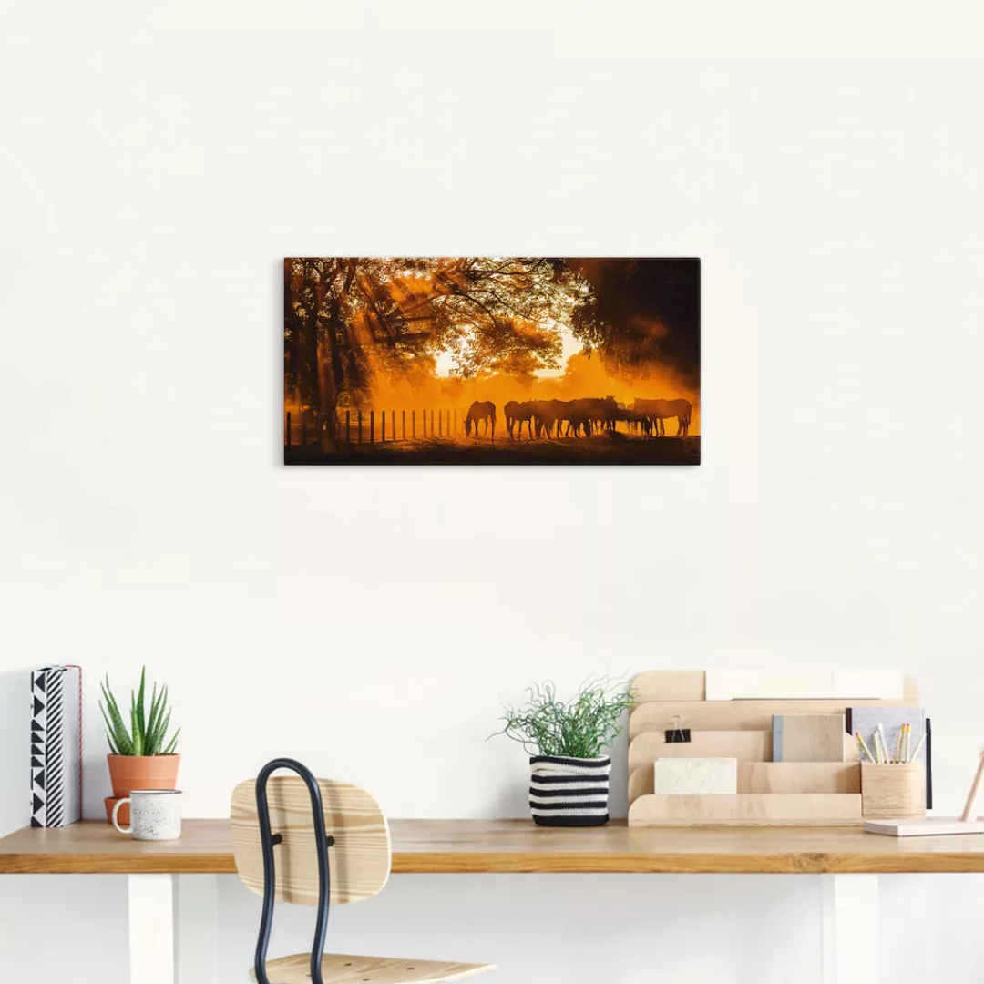 Artland Wandbild "Goldenes Licht auf der Pferdewiese", Haustiere, (1 St.), günstig online kaufen