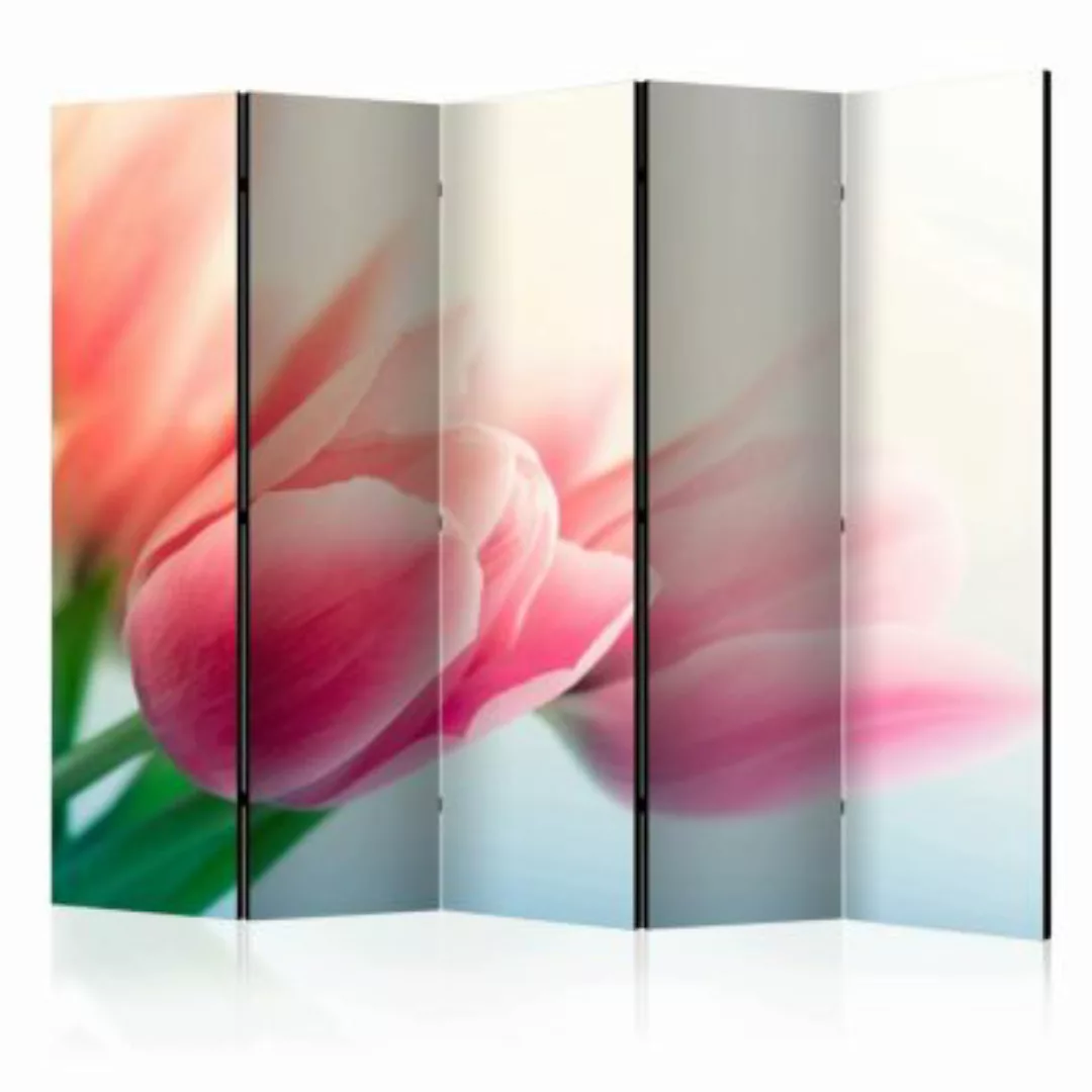 artgeist Paravent Spring and tulips II [Room Dividers] mehrfarbig Gr. 225 x günstig online kaufen