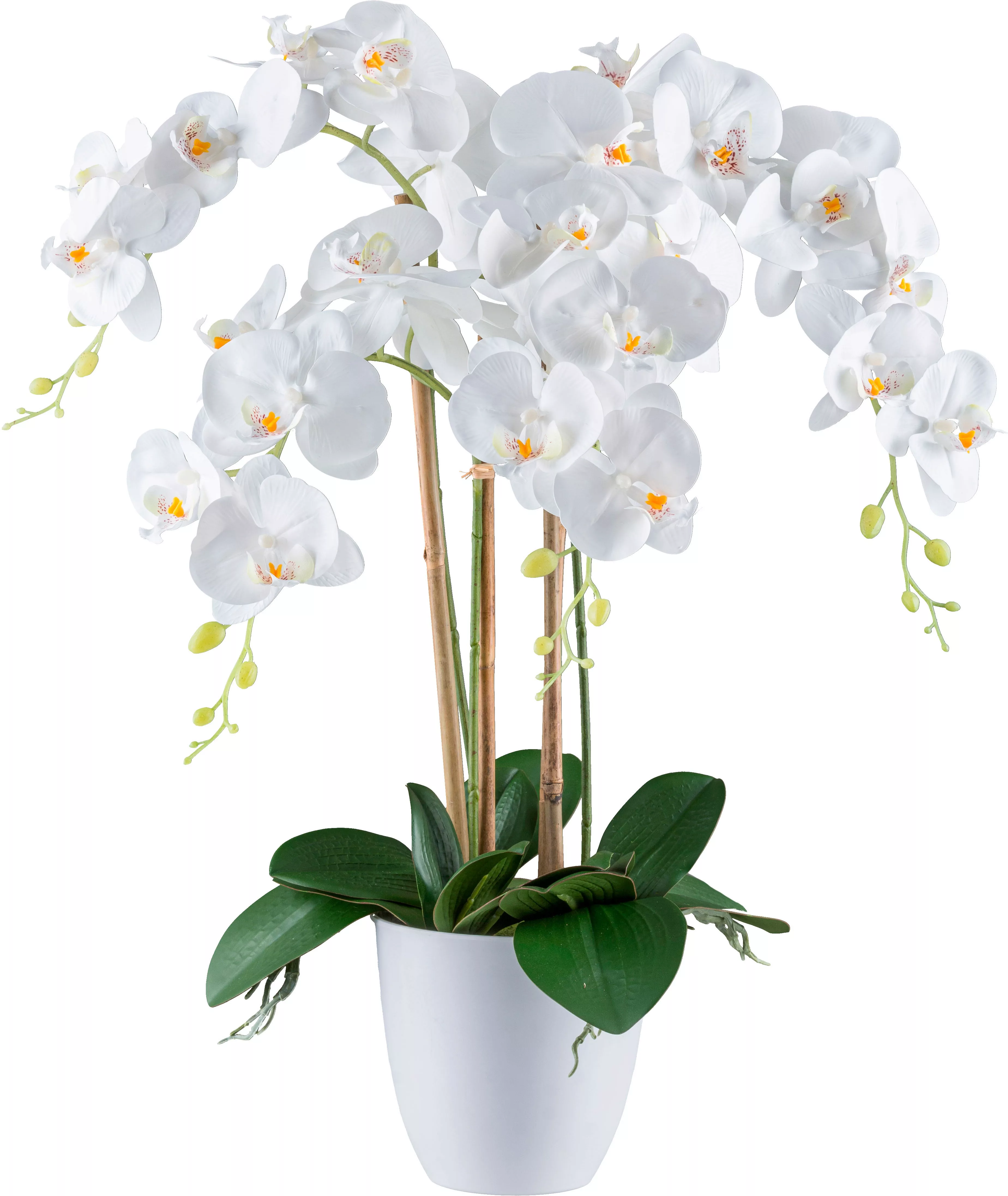 Creativ green Kunstorchidee "Orchidee Phalaenopsis", mit real-touch-Blüten günstig online kaufen