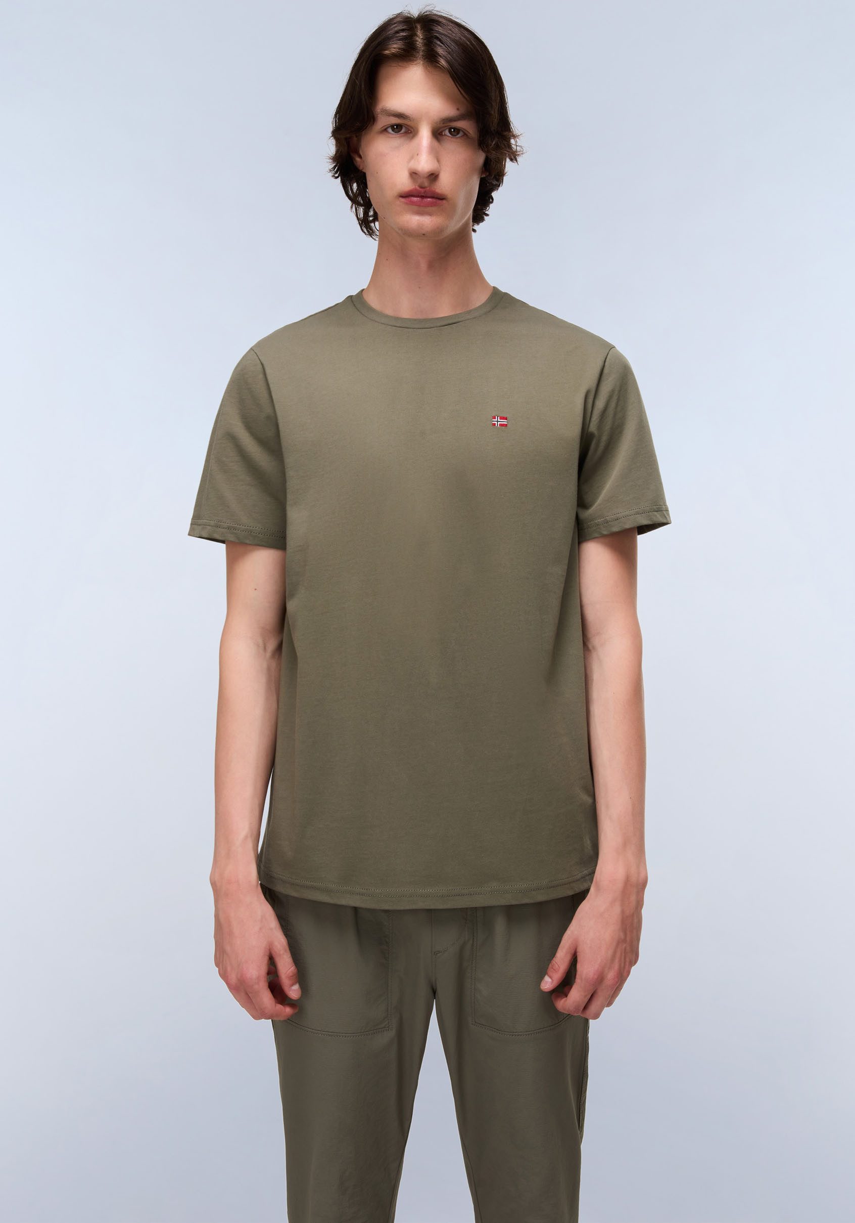 Napapijri T-Shirt SALIS SS SUM günstig online kaufen
