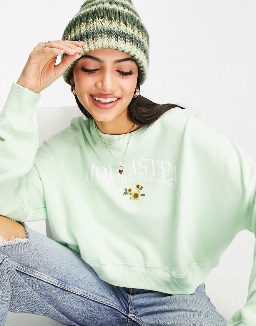 Hollister – Sweatshirt mit Logo in Grün günstig online kaufen