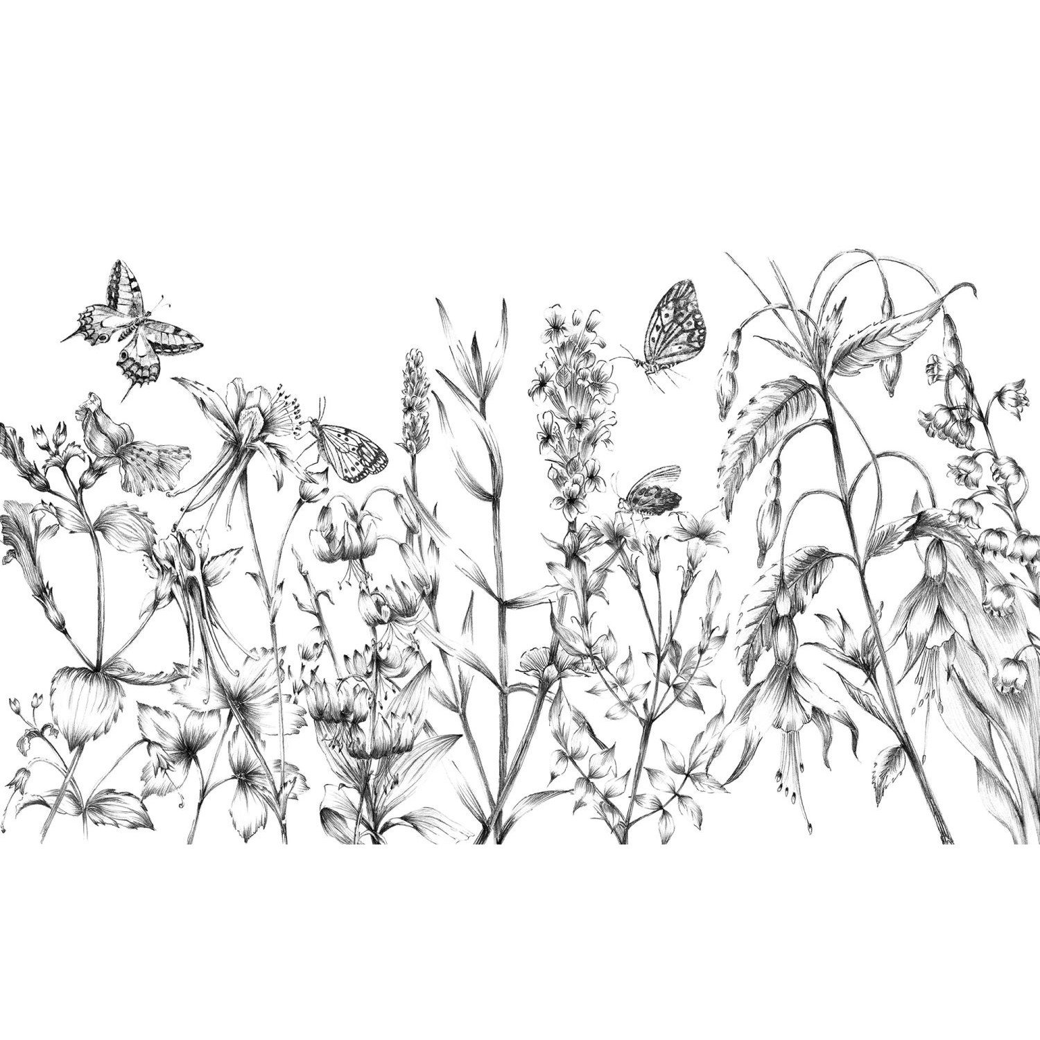 Komar Fototapete Schmetterlinge Schwarz-Weiß 400 x 250 cm 610031 günstig online kaufen
