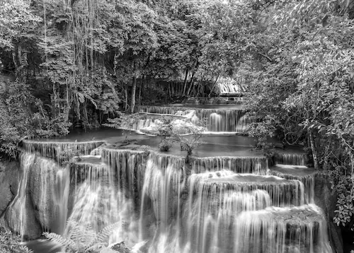 Papermoon Fototapete »Wasserfall im Wald Schwarz & Weiß« günstig online kaufen