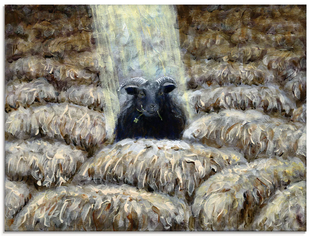 Artland Glasbild "Schwarzes Schaf", Haustiere, (1 St.), in verschiedenen Gr günstig online kaufen