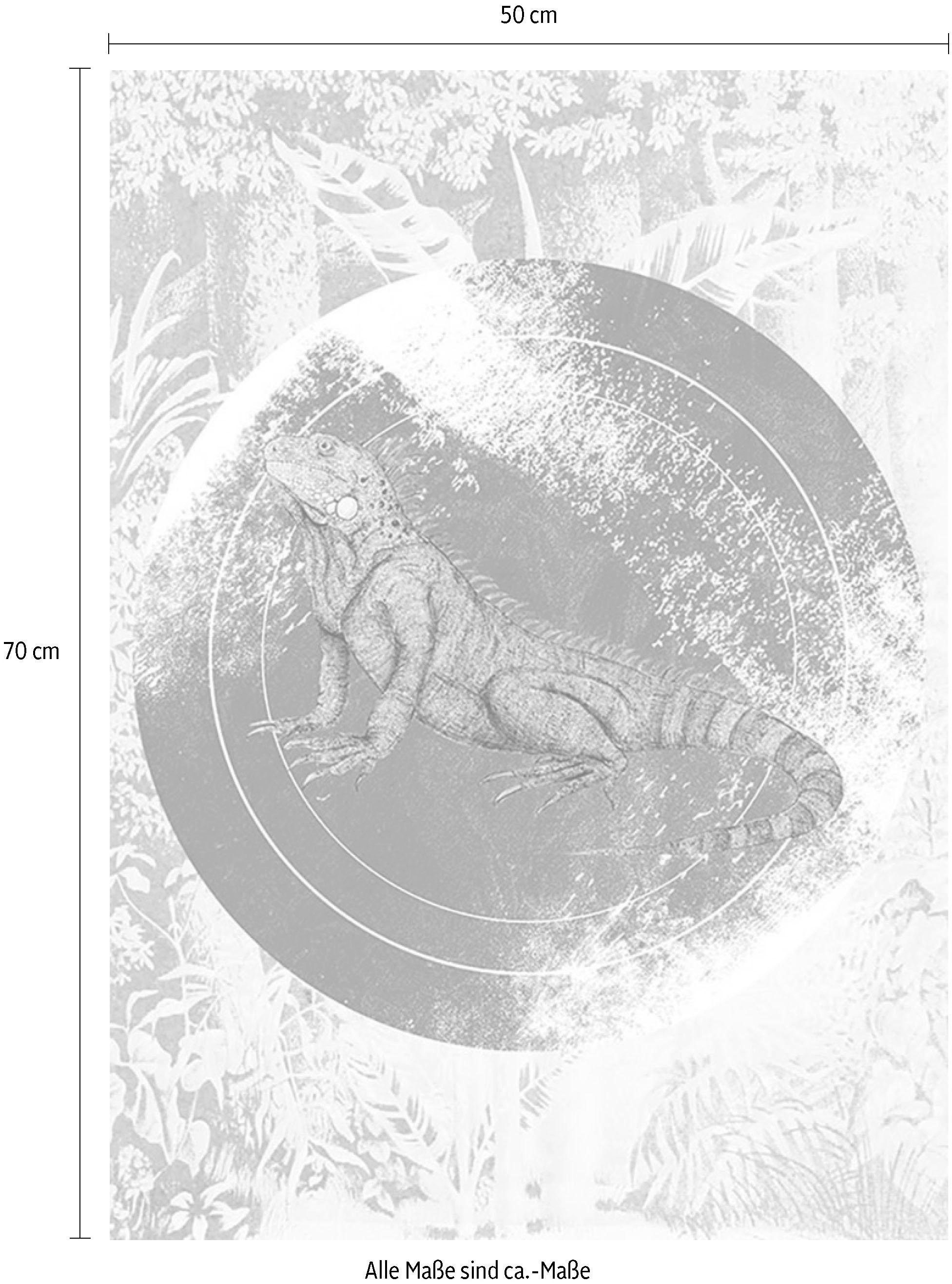 Komar Bild "Iguana Circle", Tiere, (1 St.), Wandbild zur Dekoration - ohne günstig online kaufen