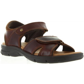 Panama Jack  Sandalen SANDERS CLAY C1 günstig online kaufen