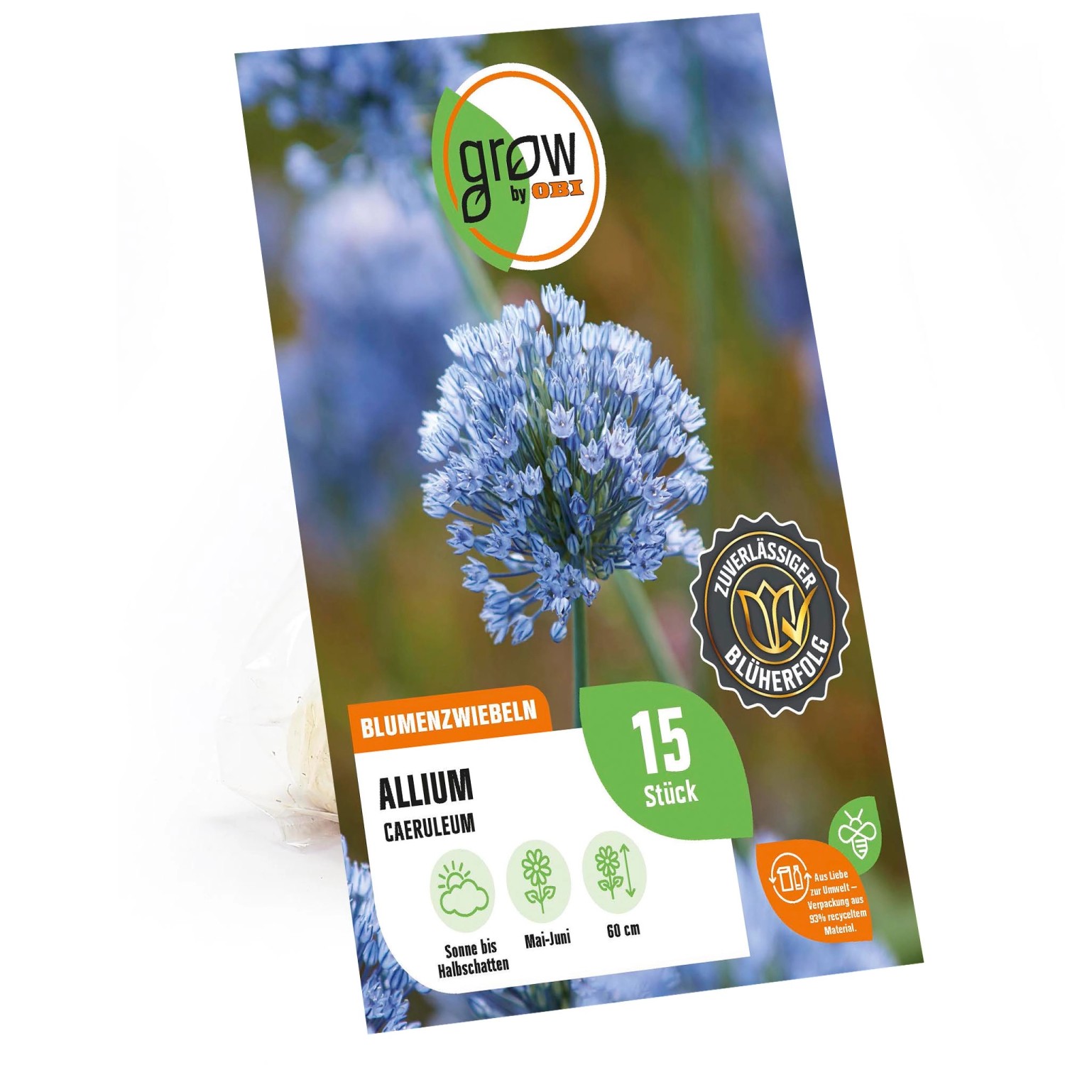 GROW by OBI Zierlauch Caeruleum 4/5 Blau 15 Stück Allium caeruleum günstig online kaufen