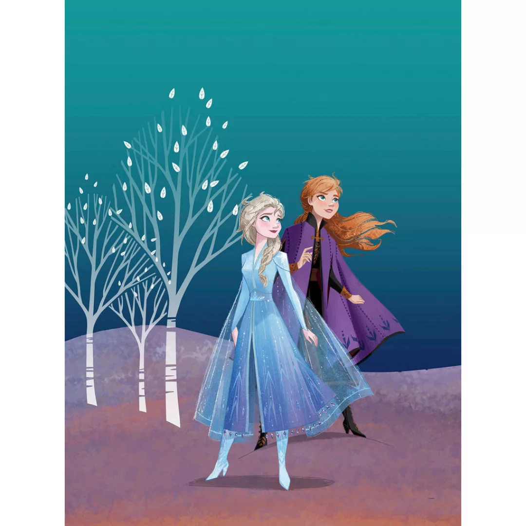 Komar Wandbild Frozen Sisters Disney B/L: ca. 30x40 cm günstig online kaufen