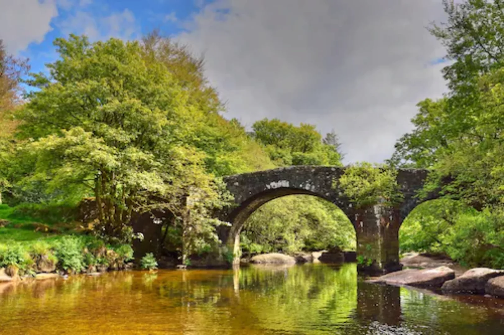 Papermoon Fototapete »Brücke im Wald« günstig online kaufen