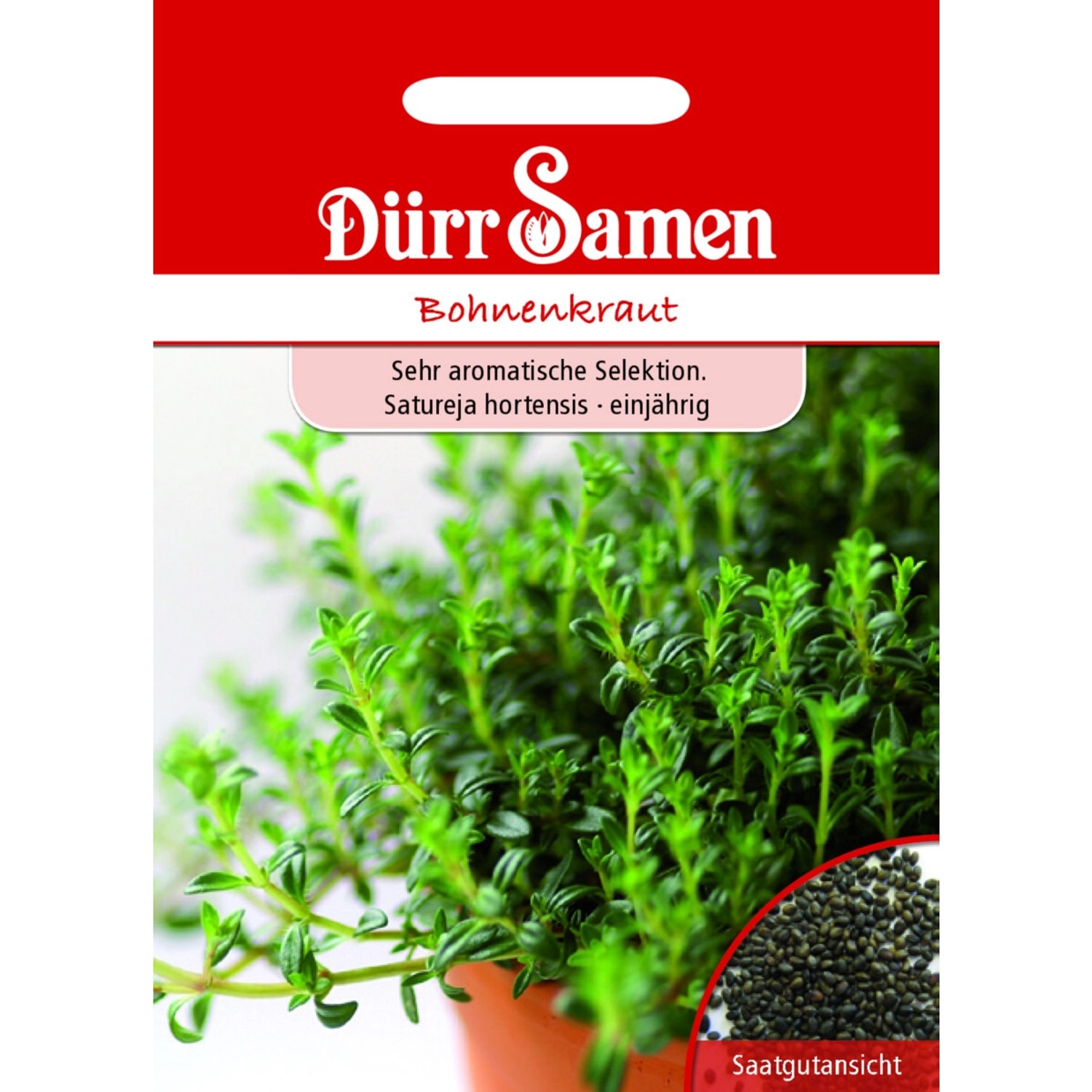 Dürr Samen Bohnenkraut Saatgut günstig online kaufen