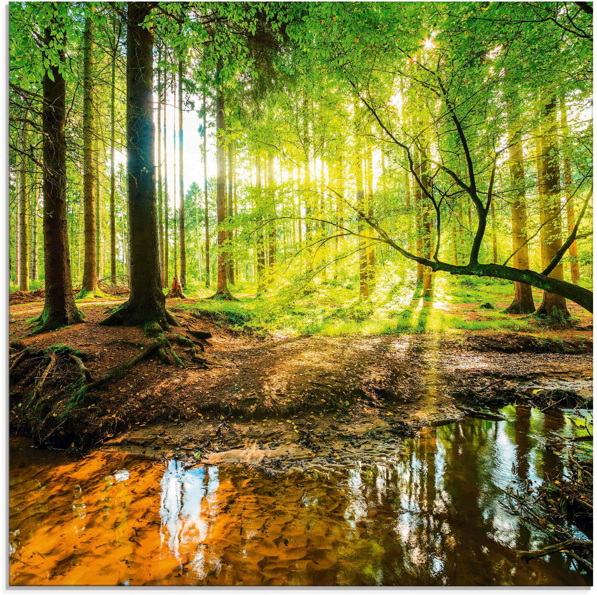 Artland Glasbild "Wald mit Bach", Wald, (1 St.), in verschiedenen Größen günstig online kaufen