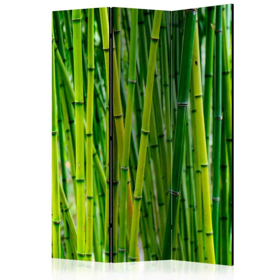 Raumteiler Paravent mit grünem Bambus Motiv 135 cm breit günstig online kaufen