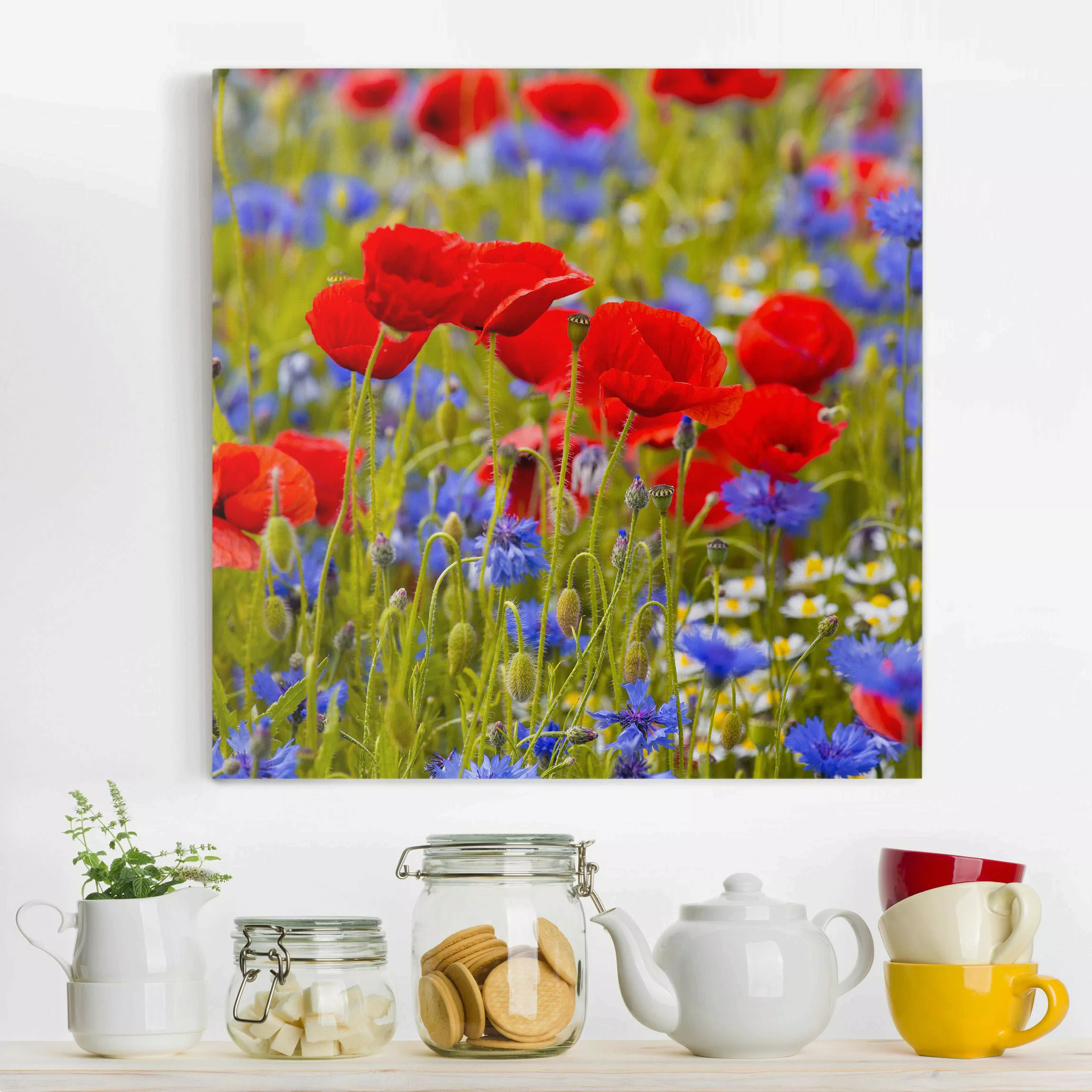 Leinwandbild Sommerwiese mit Mohn und Kornblumen günstig online kaufen