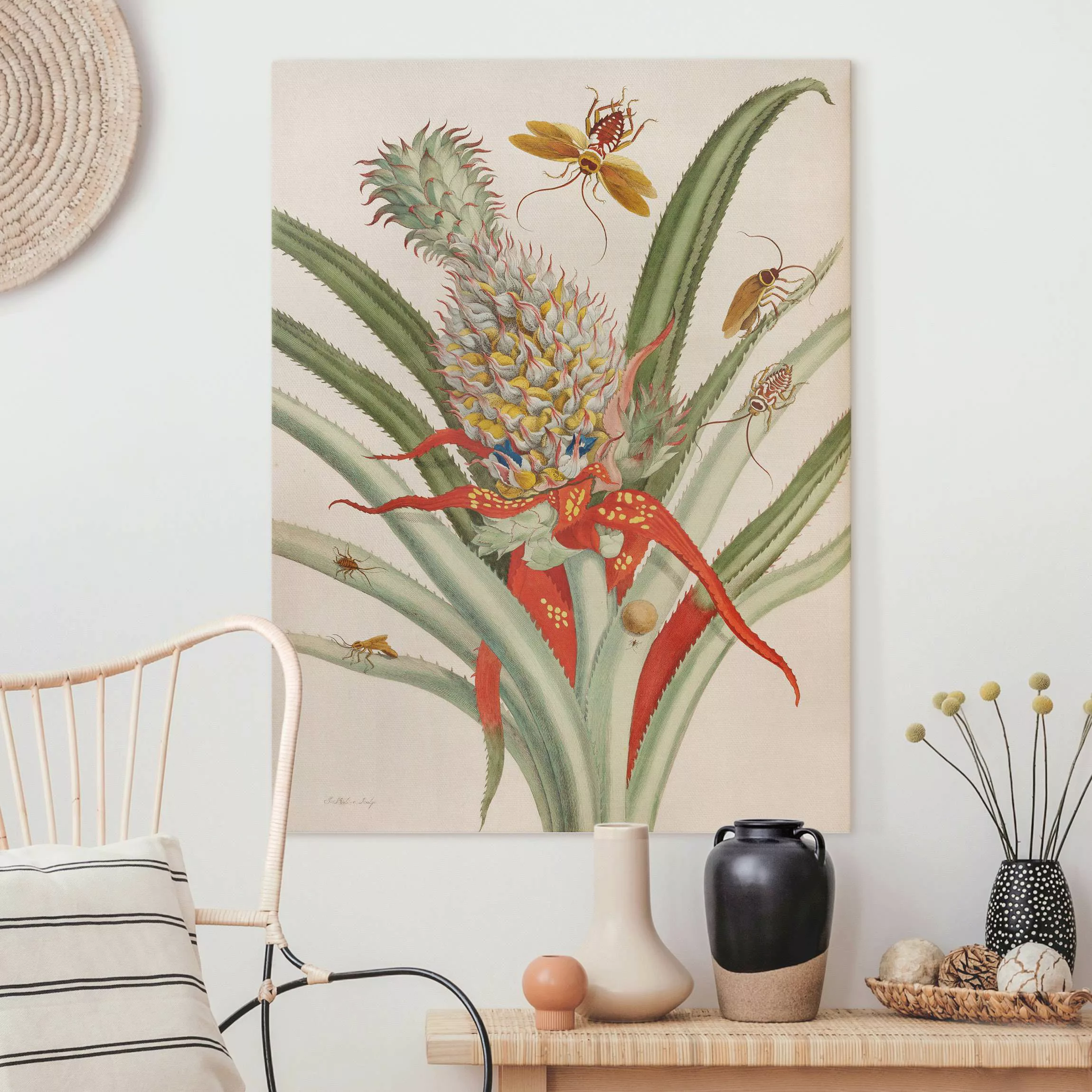 Leinwandbild Anna Maria Sibylla Merian - Ananas mit Insekten günstig online kaufen