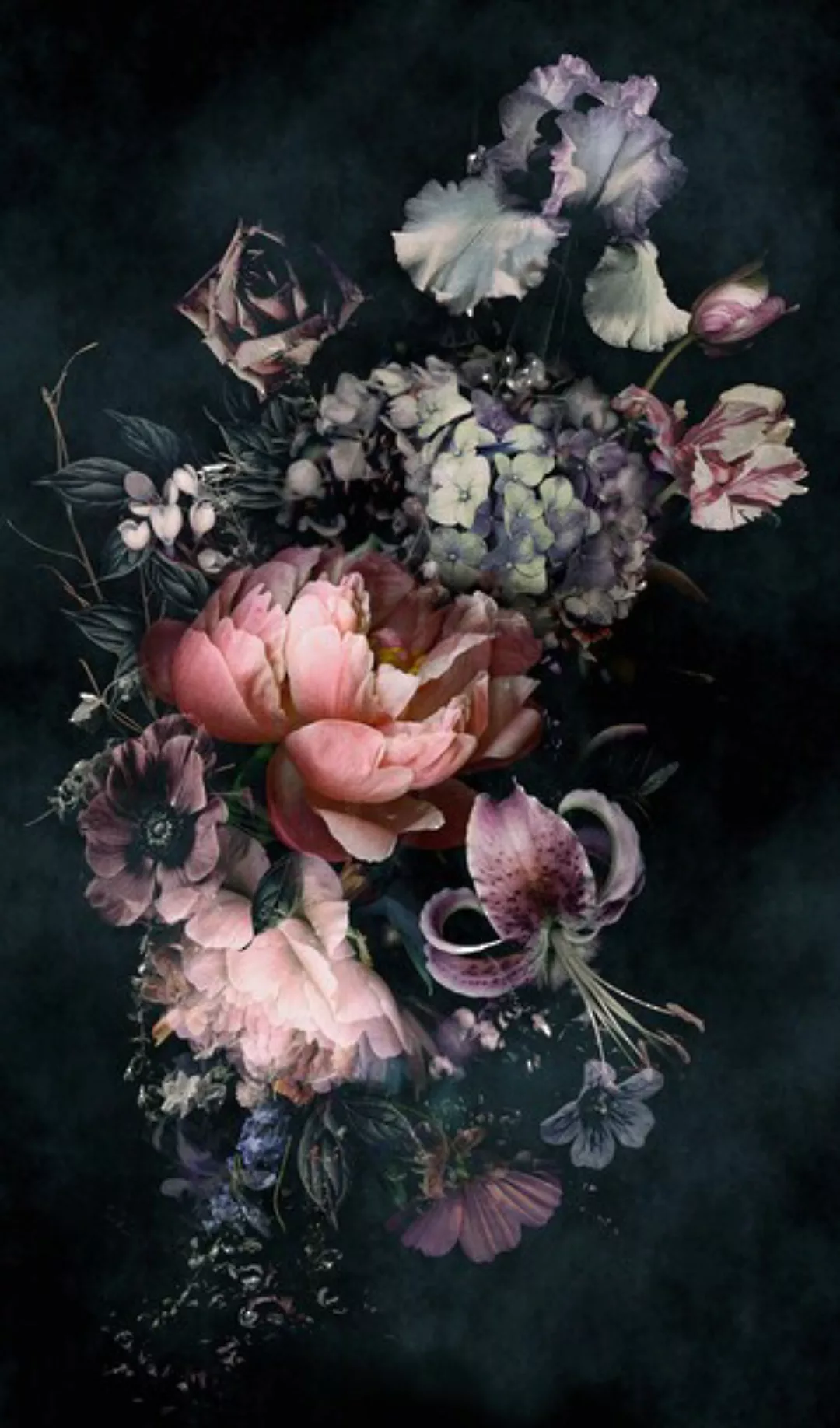 Schöner Wohnen Vliestapete 2 DD Floral Schwarz Rosa 270 x 159 cm FSC® günstig online kaufen