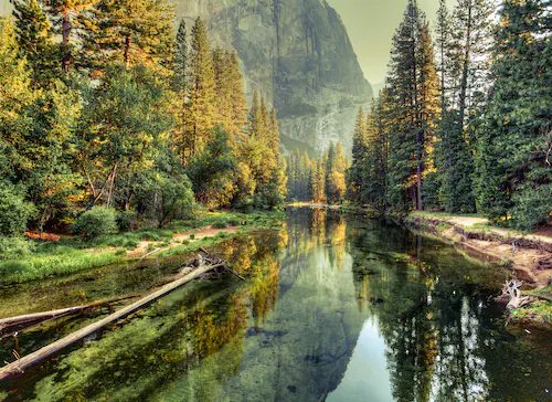 Fototapete Landschaft Fluss Wald Grün Gelb 3,50 m x 2,55 m FSC® günstig online kaufen