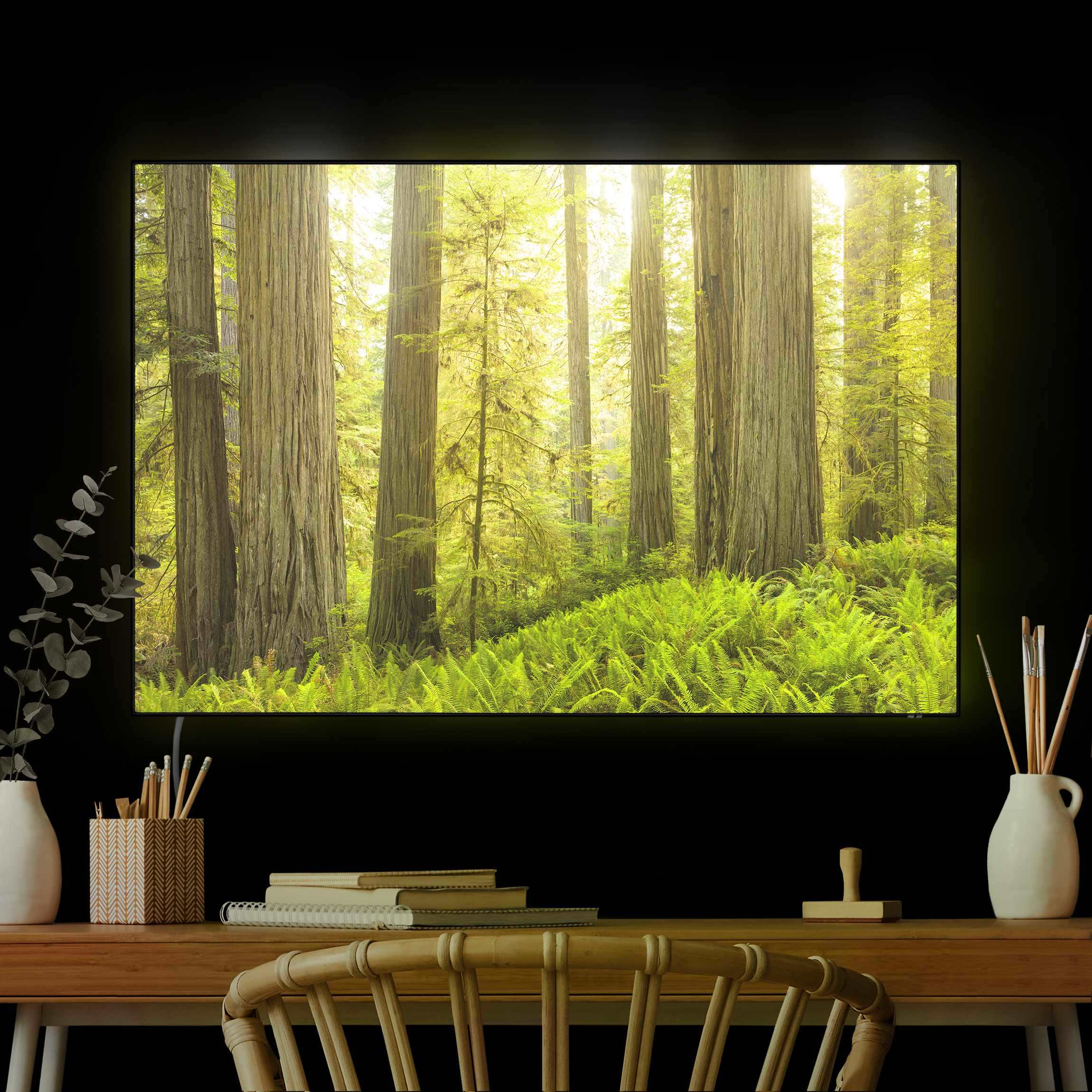 LED-Wechselbild Redwood State Park Waldblick günstig online kaufen