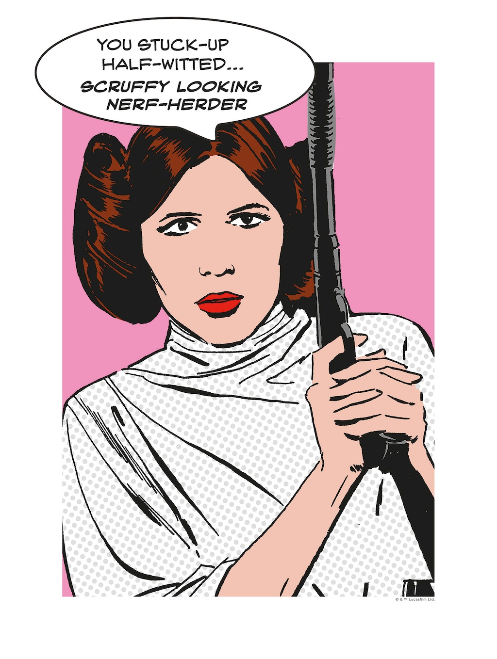 Komar Wandbild Star Wars Leia 30 x 40 cm günstig online kaufen