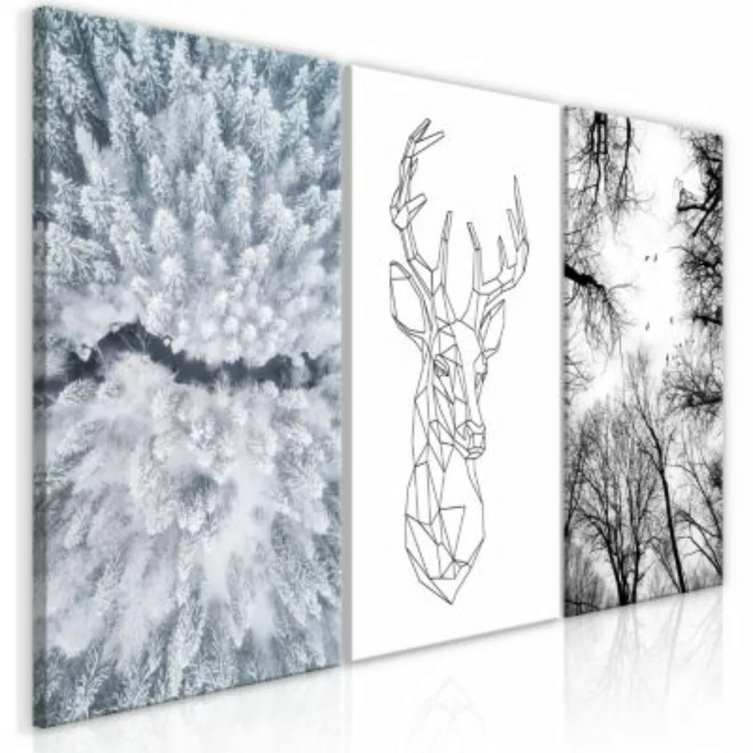 artgeist Wandbild Deers Life (Collection) mehrfarbig Gr. 60 x 30 günstig online kaufen