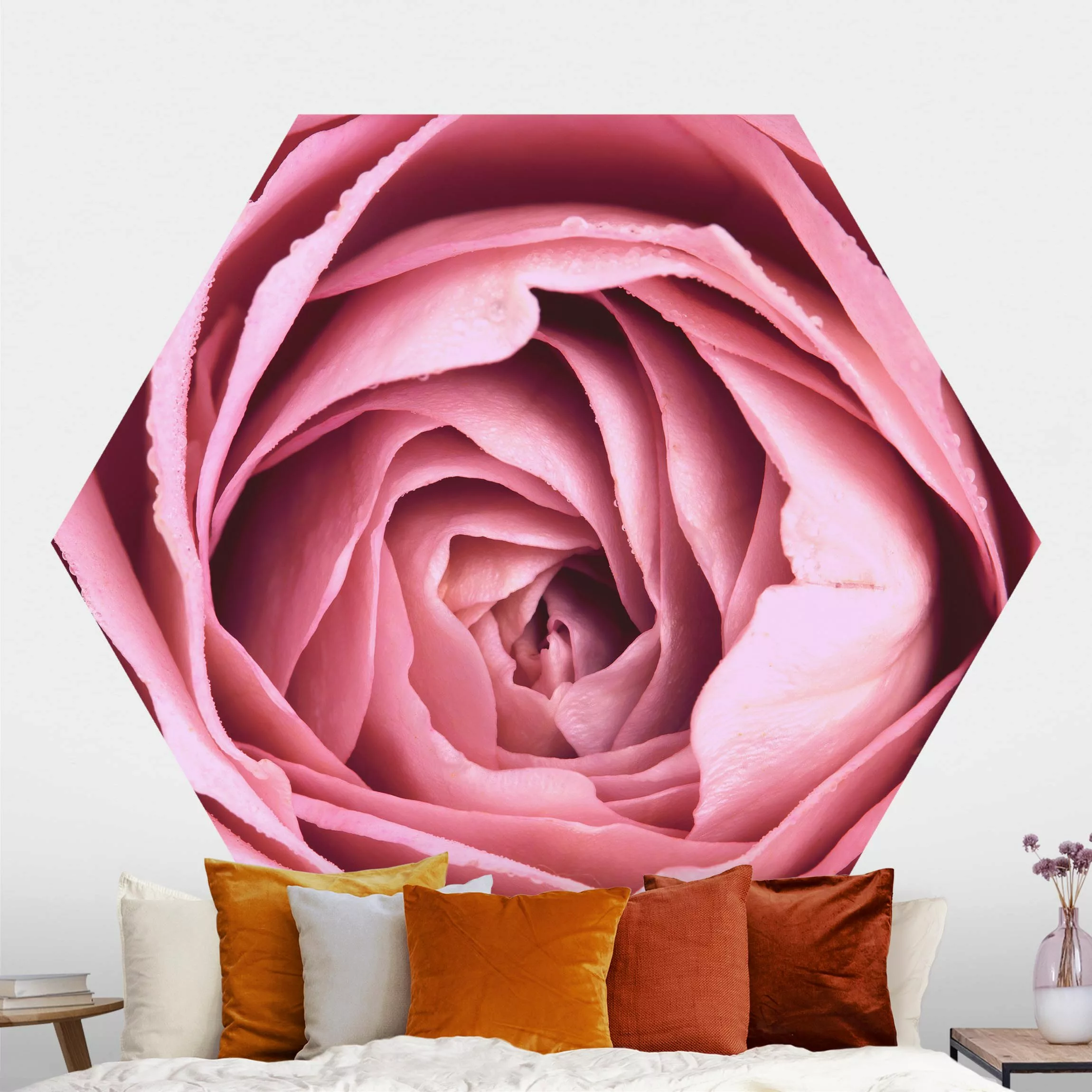 Hexagon Fototapete selbstklebend Rosa Rosenblüte günstig online kaufen