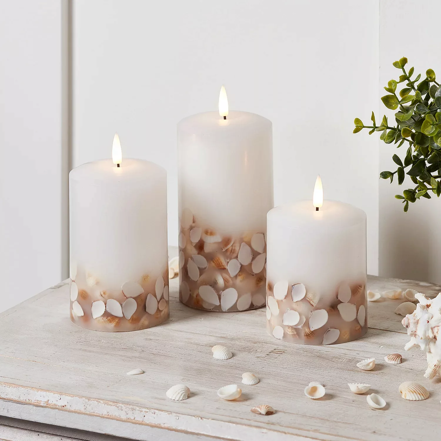 TruGlow® LED Kerzen Trio Muscheln mit Fernbedienung günstig online kaufen