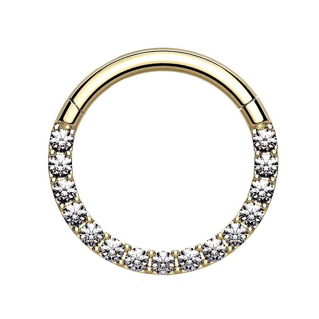 Taffstyle Nasenpiercing Piercing Nase Ohr Segment günstig online kaufen