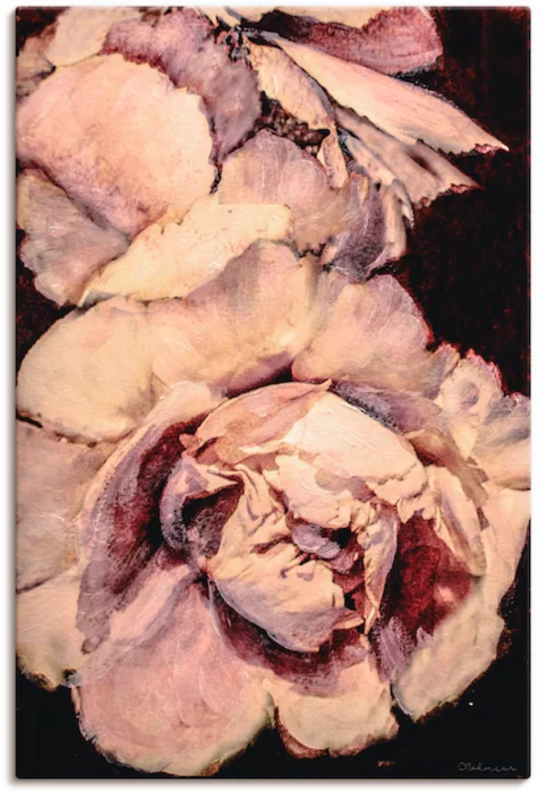 Artland Leinwandbild "Pfingsrose III", Blumen, (1 St.), auf Keilrahmen gesp günstig online kaufen