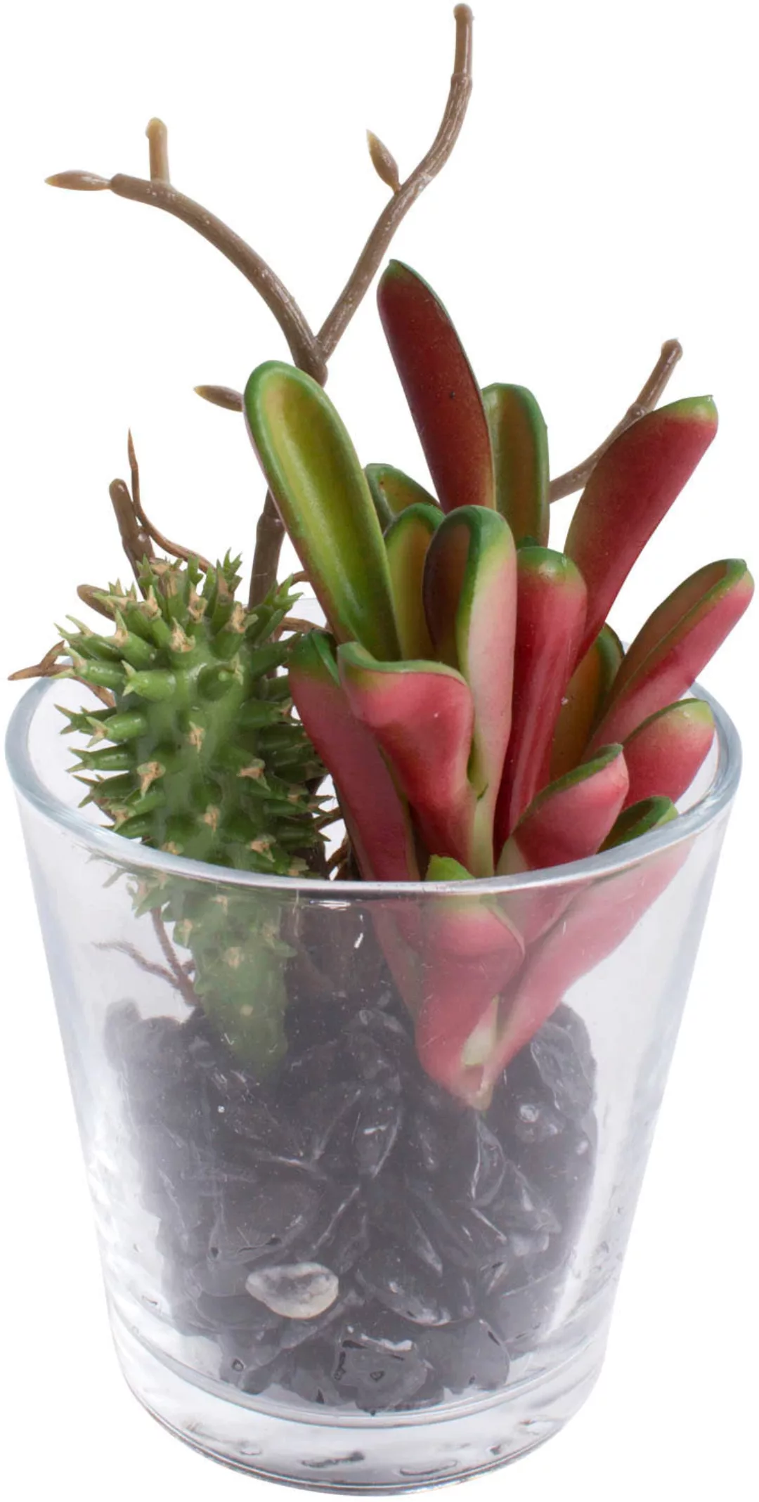 Botanic-Haus Künstliche Zimmerpflanze "Sukkulenten Arrangement im Glas" günstig online kaufen