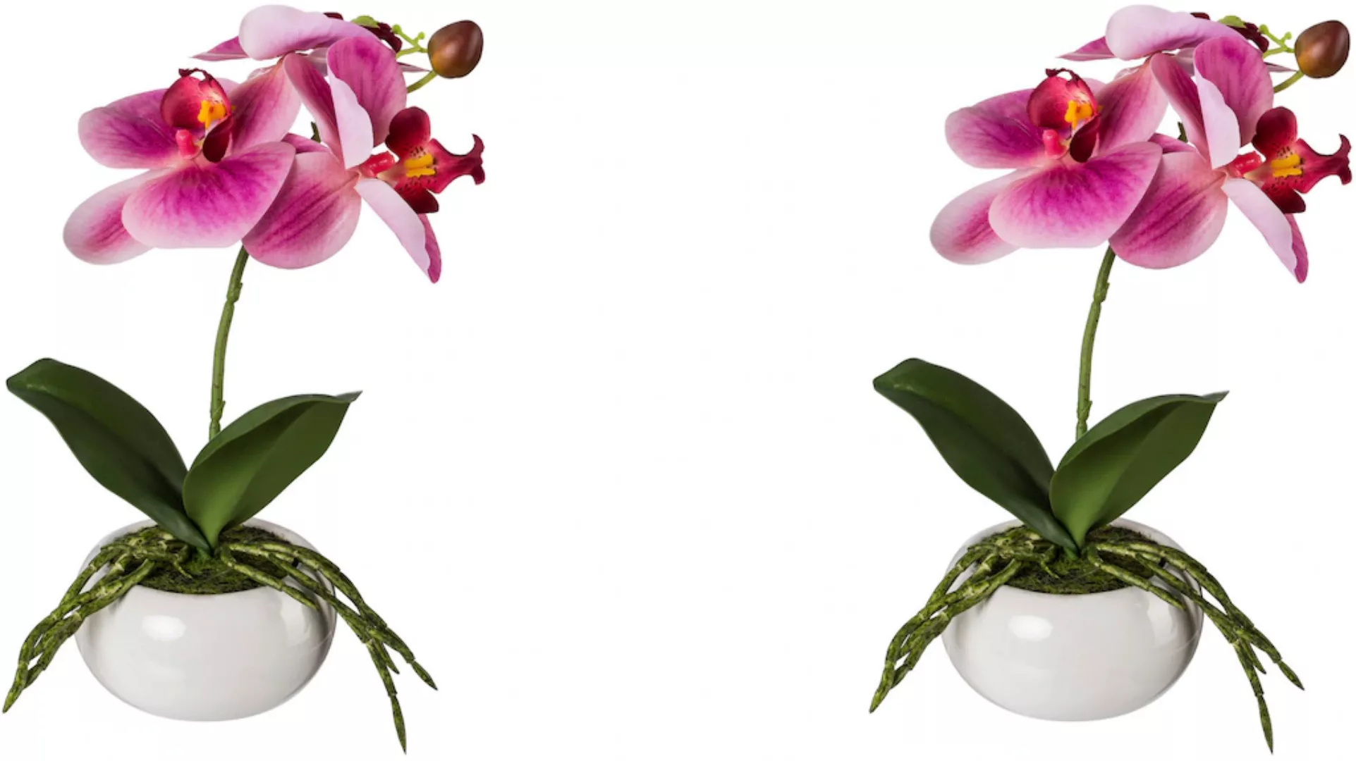 Creativ green Kunstorchidee "Phalaenopsis in Keramikschale" günstig online kaufen