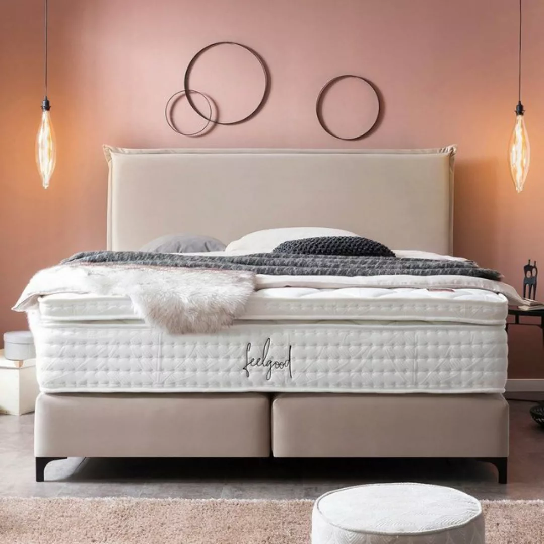 BettCo Boxspringbett London (in Creme Velours, 200 x 200 cm), Kopfteil mit günstig online kaufen