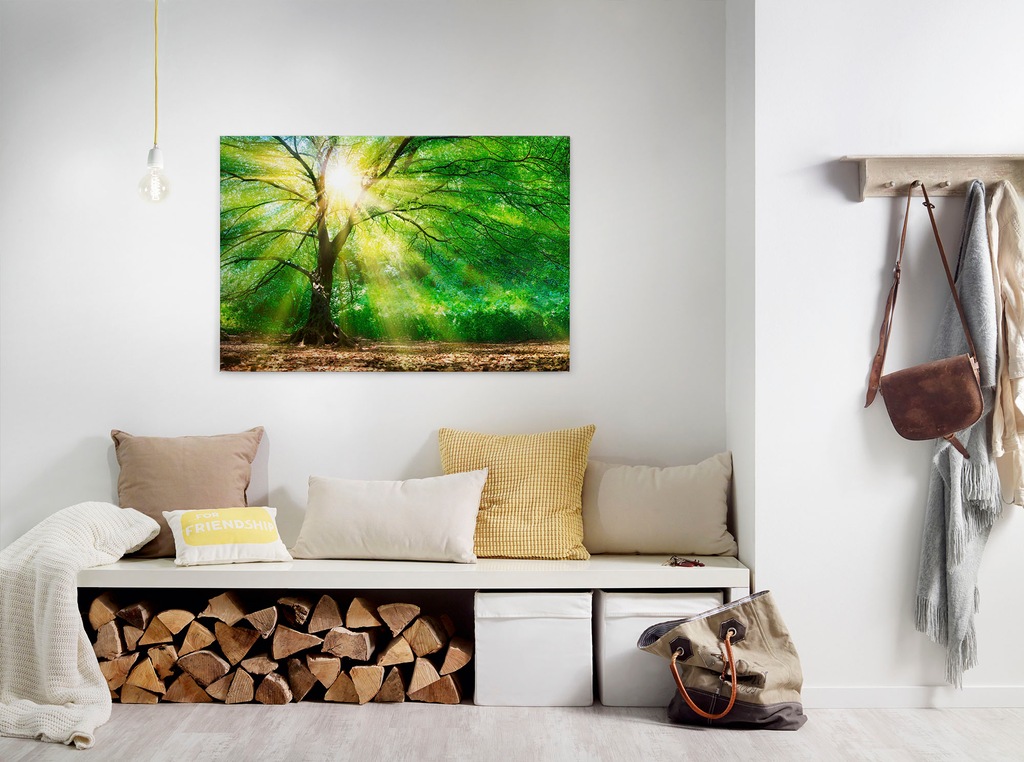 A.S. Création Leinwandbild "Forest Light", Wald, (1 St.), Sonnenlicht Baumk günstig online kaufen