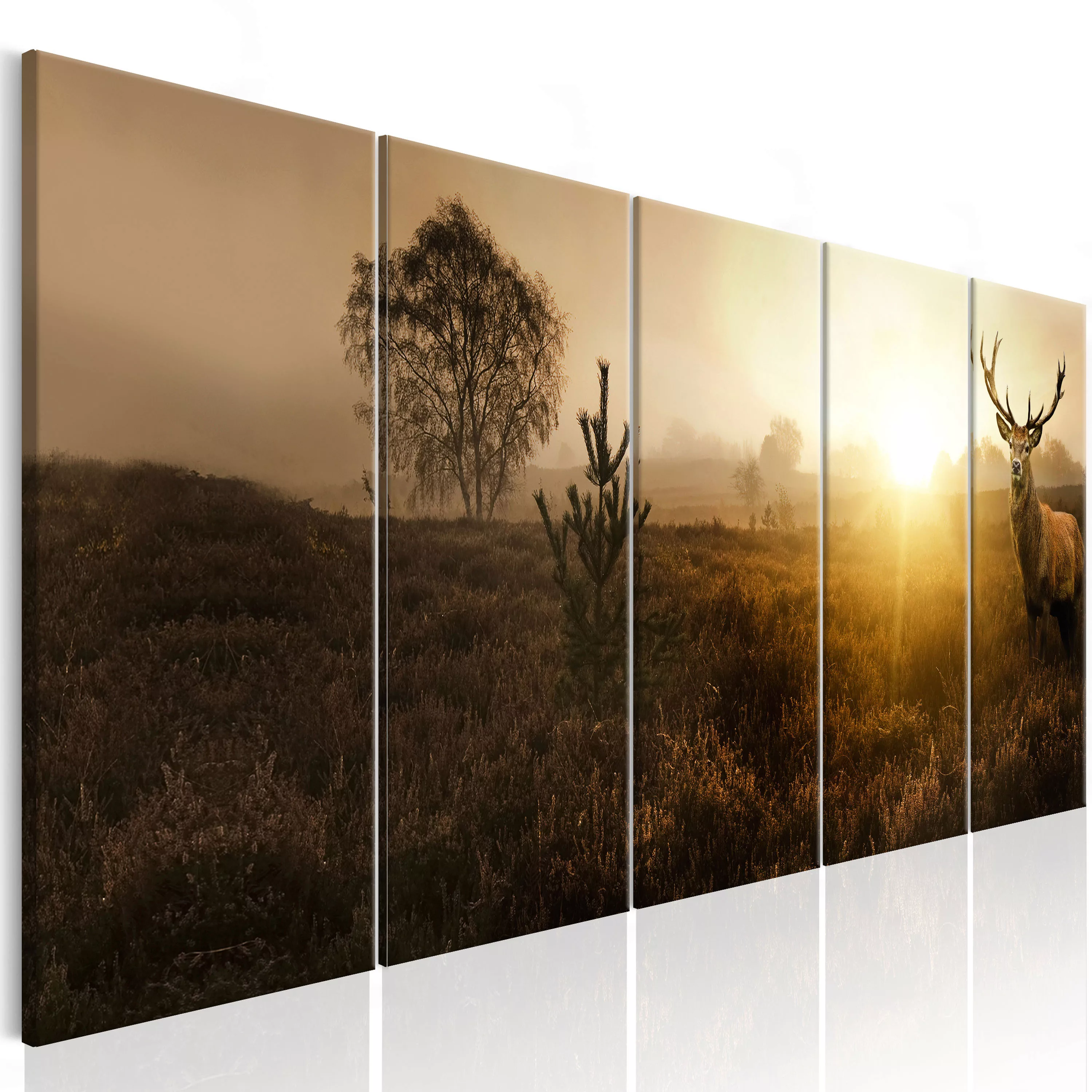 Wandbild - Foggy Morning I günstig online kaufen