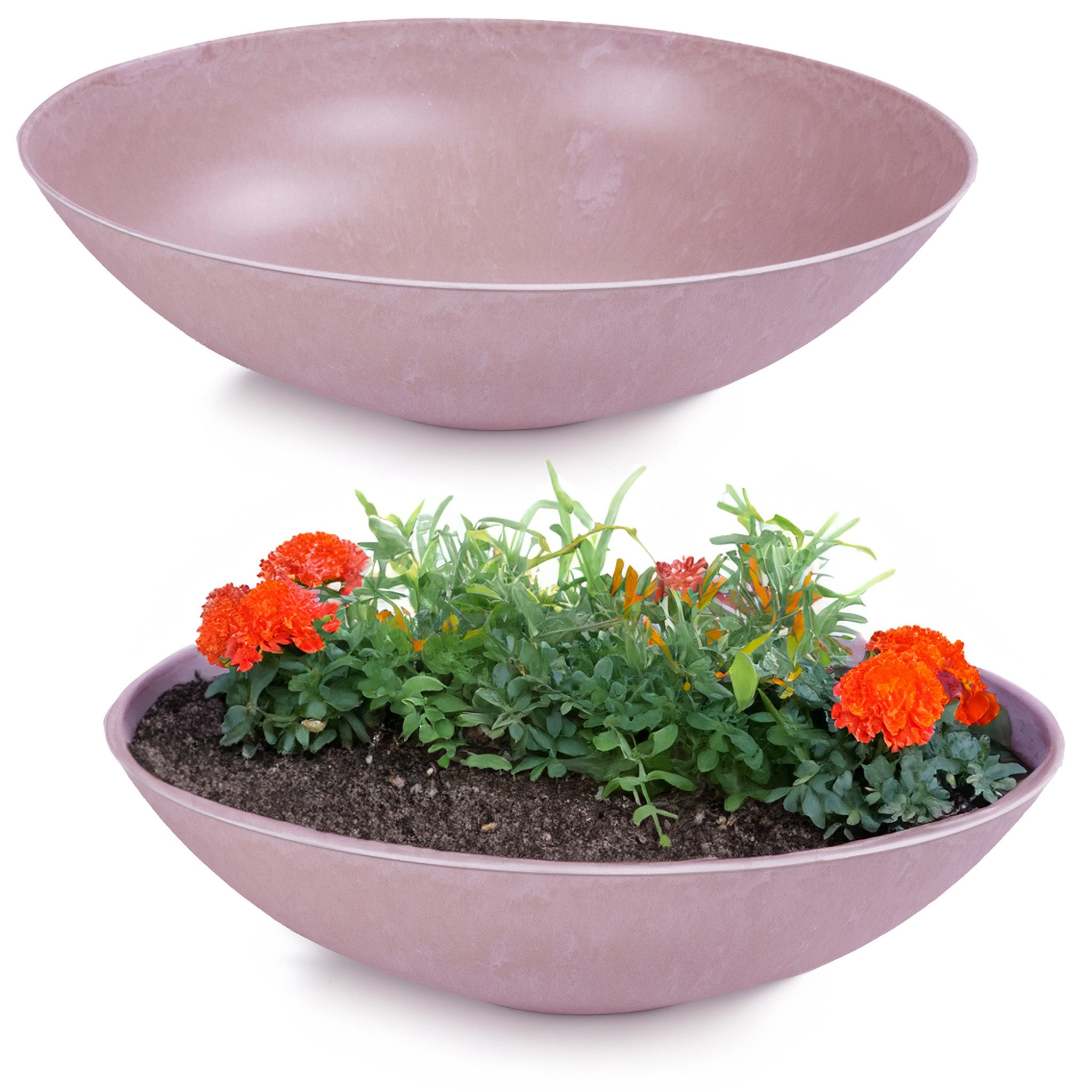 matches21 HOME & HOBBY Blumentopf Flache günstig online kaufen