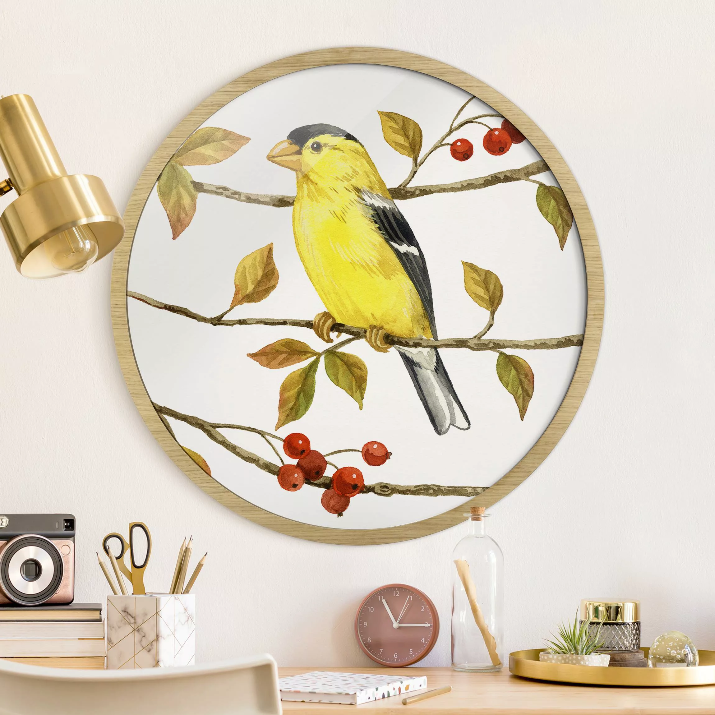 Rundes Gerahmtes Bild Vögel und Beeren - Goldzeisig günstig online kaufen
