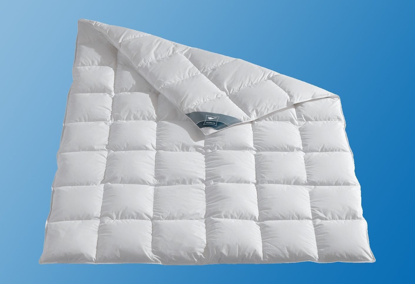 Haeussling Daunenbettdecke + Kopfkissen Kuscheltraum günstig online kaufen