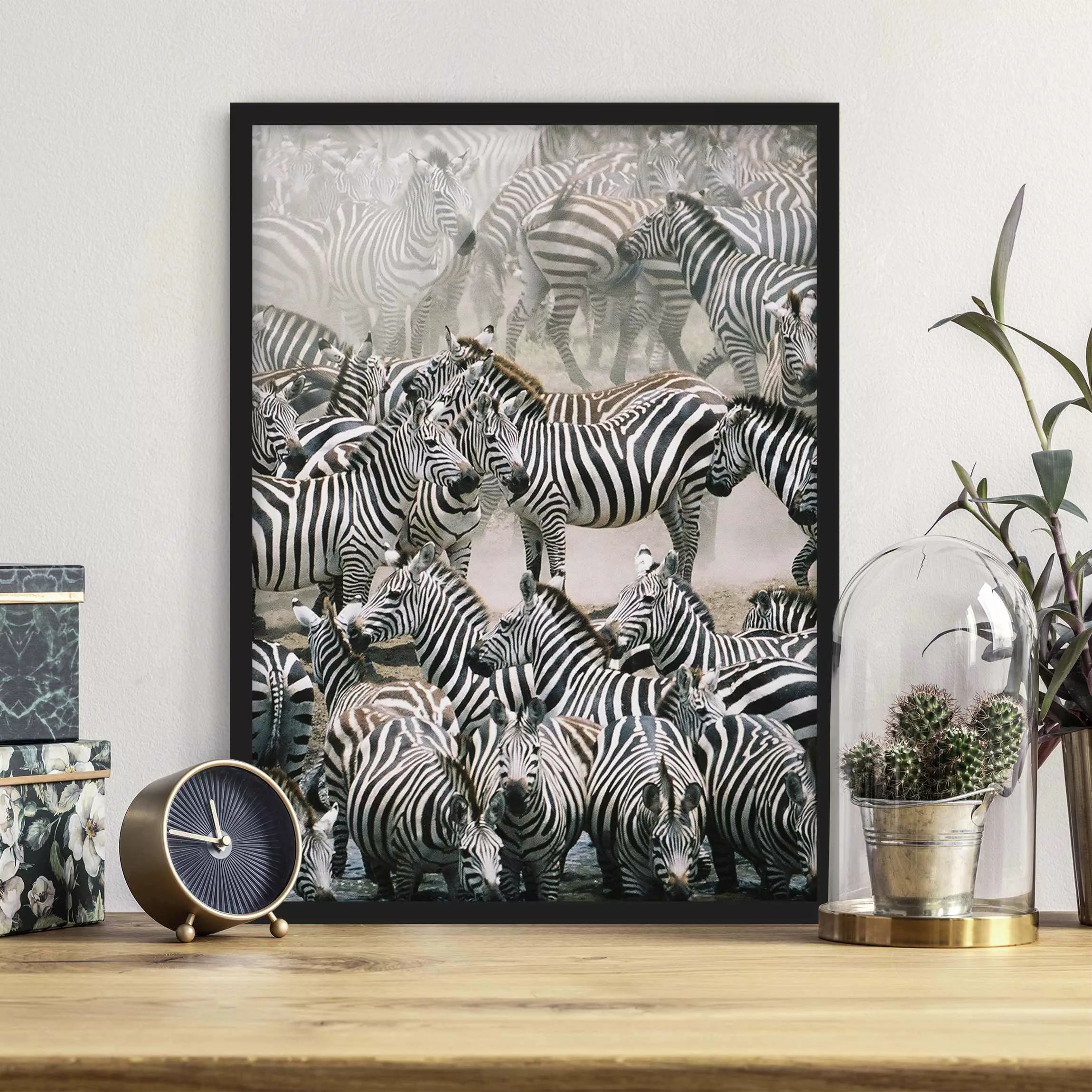 Bild mit Rahmen Tiere - Hochformat Zebraherde günstig online kaufen