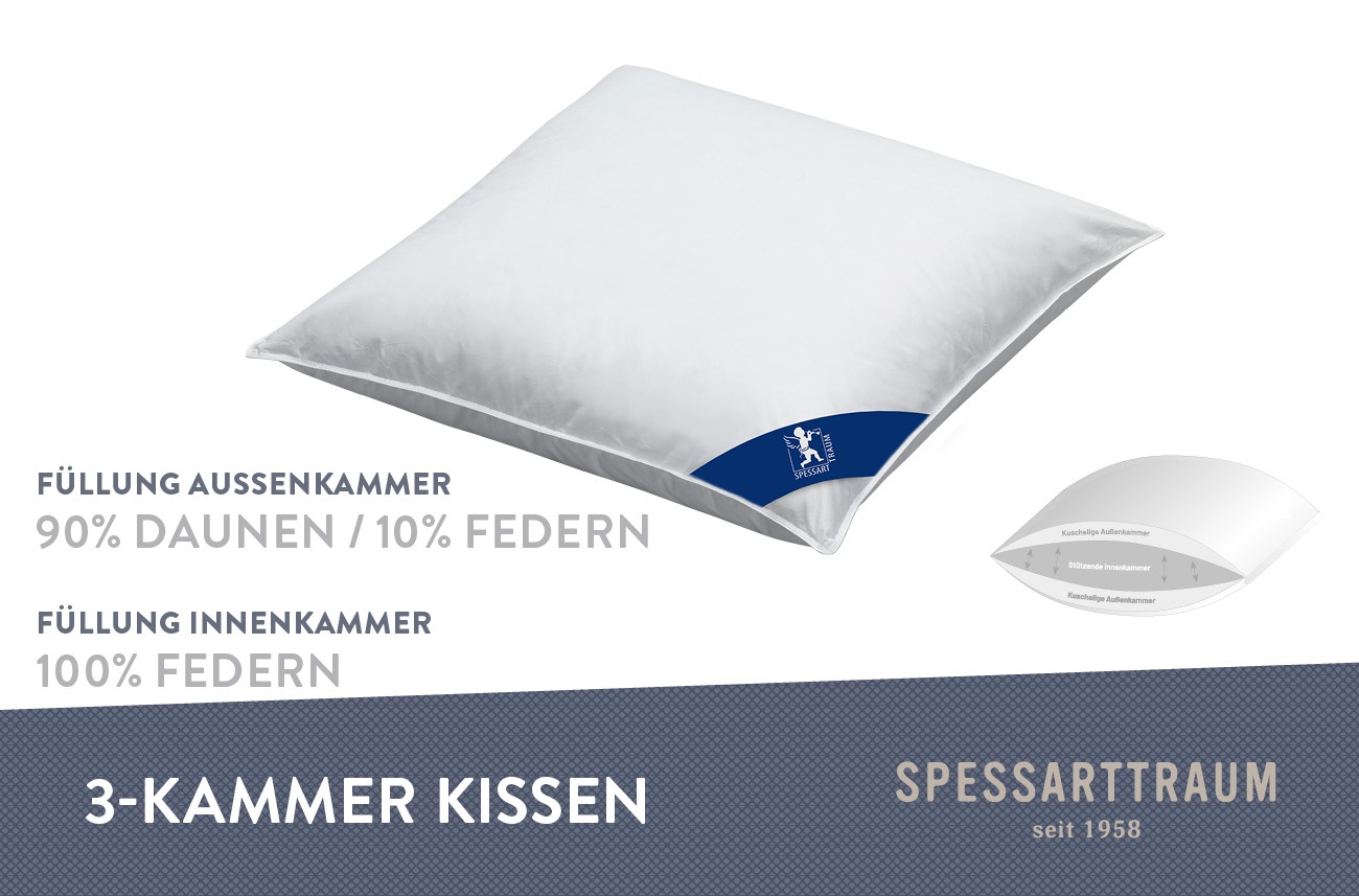 SPESSARTTRAUM 3-Kammer-Kopfkissen »Arosa Kissen in 40x80 & 80x80 cm«, Füllu günstig online kaufen