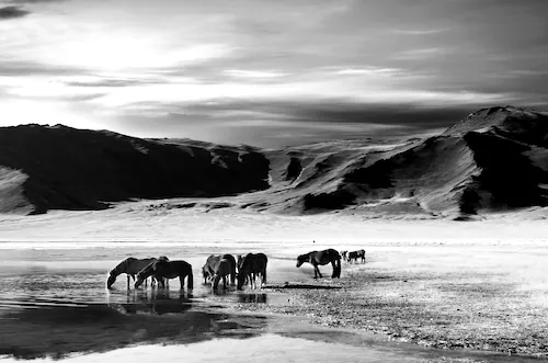 Papermoon Fototapete »Landschaft schwarz & weiß« günstig online kaufen