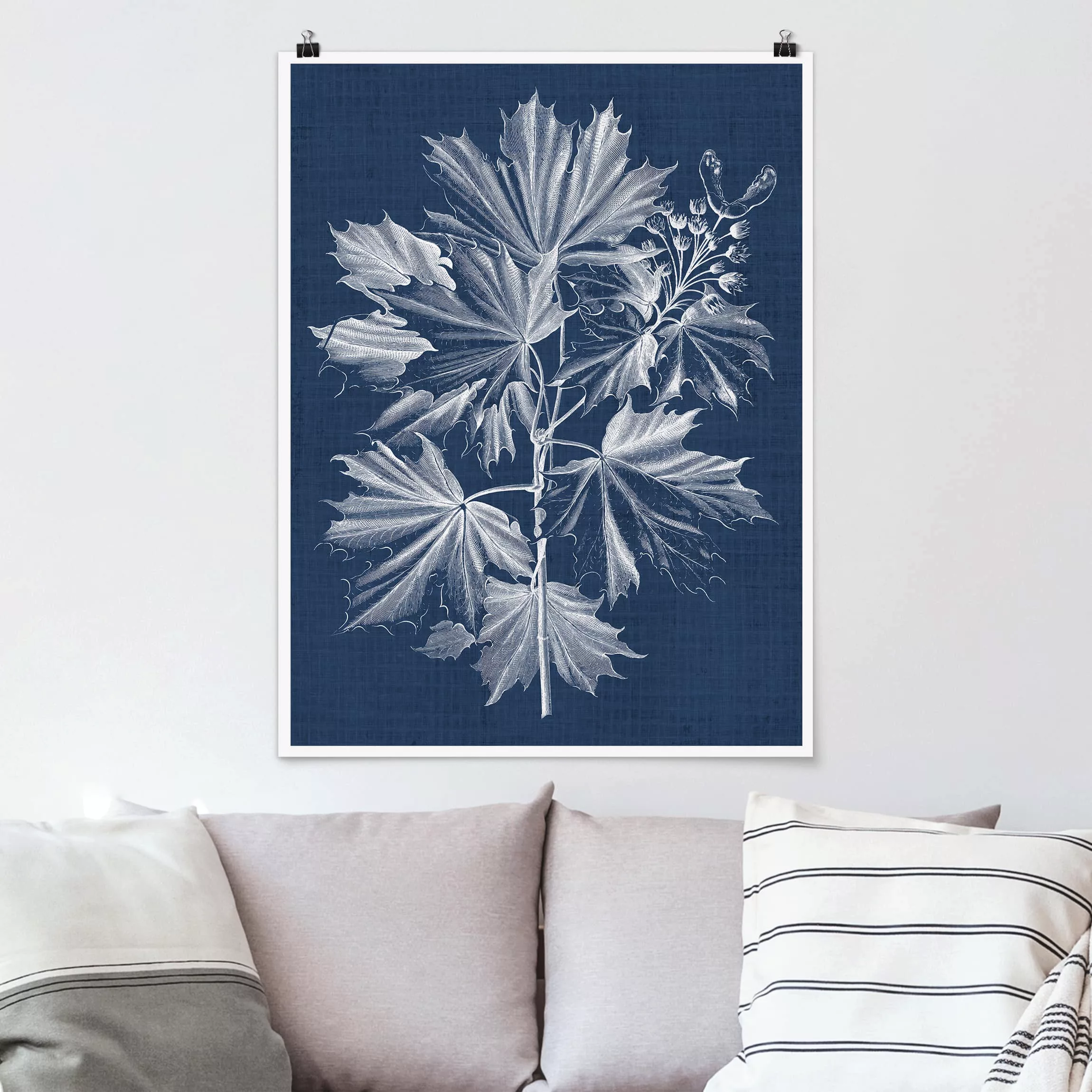 Poster Blumen - Hochformat Denim Pflanzenstudie V günstig online kaufen